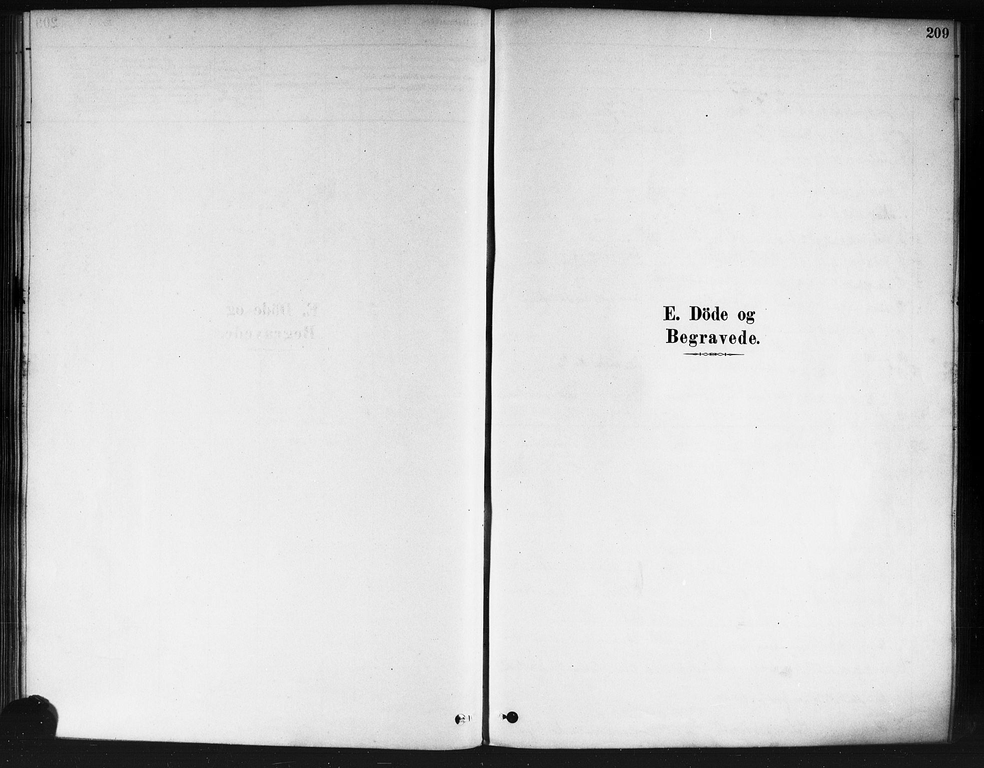 Nedre Eiker kirkebøker, SAKO/A-612/F/Fa/L0002: Ministerialbok nr. 2, 1878-1885, s. 209