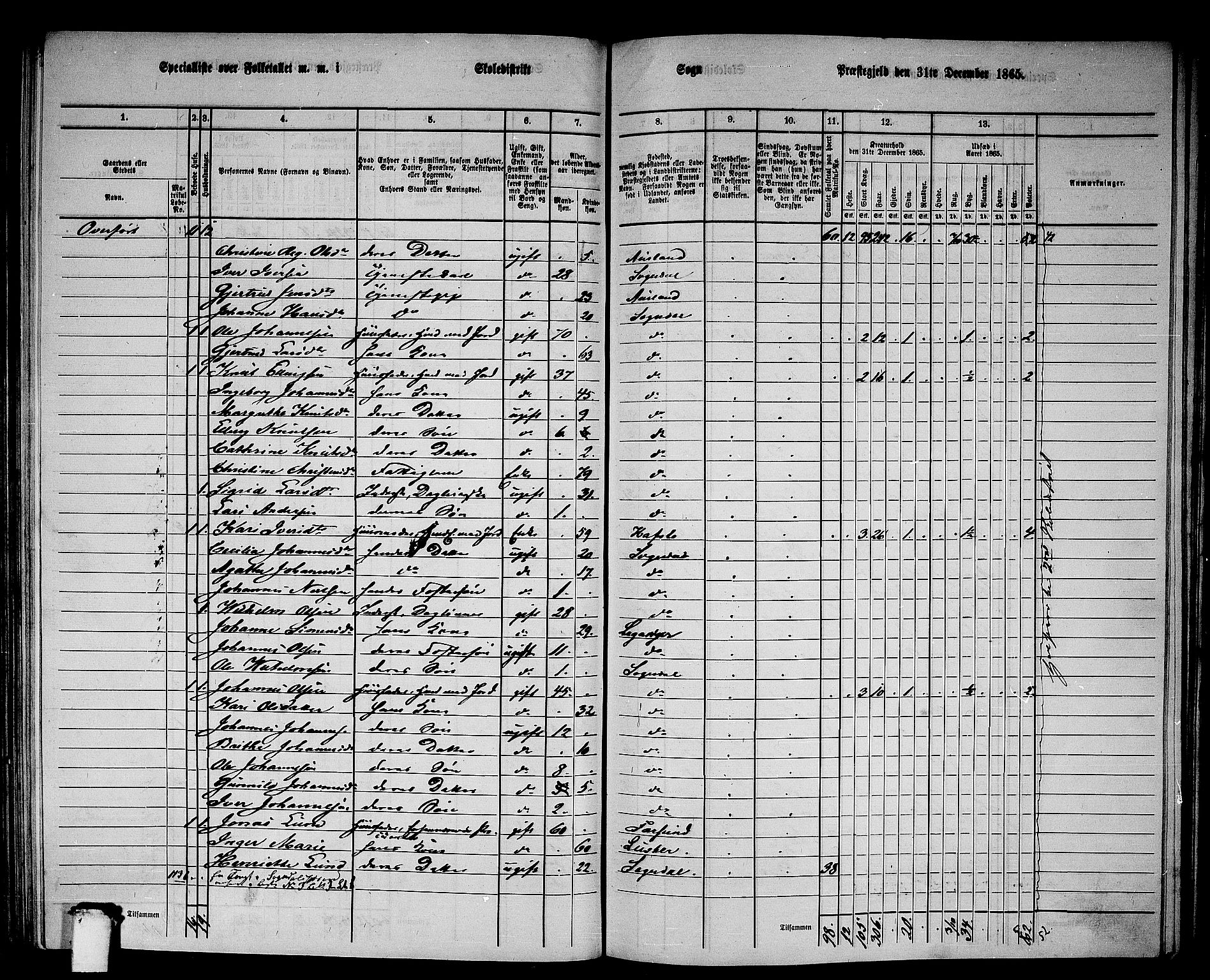 RA, Folketelling 1865 for 1420P Sogndal prestegjeld, 1865, s. 88