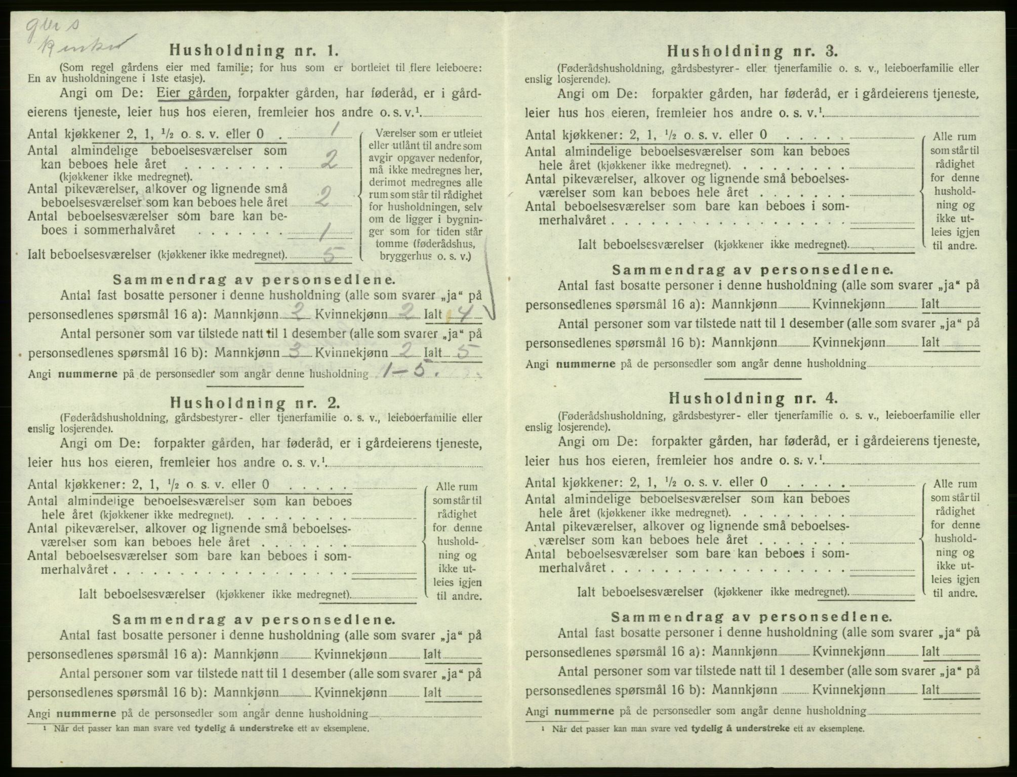 SAB, Folketelling 1920 for 1239 Hålandsdal herred, 1920, s. 229