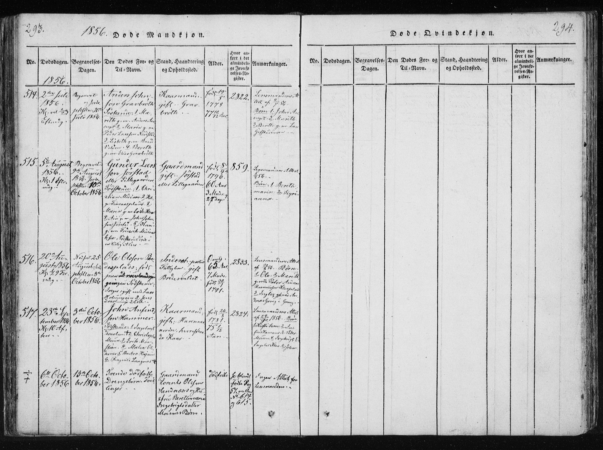 Ministerialprotokoller, klokkerbøker og fødselsregistre - Nord-Trøndelag, AV/SAT-A-1458/749/L0469: Ministerialbok nr. 749A03, 1817-1857, s. 293-294