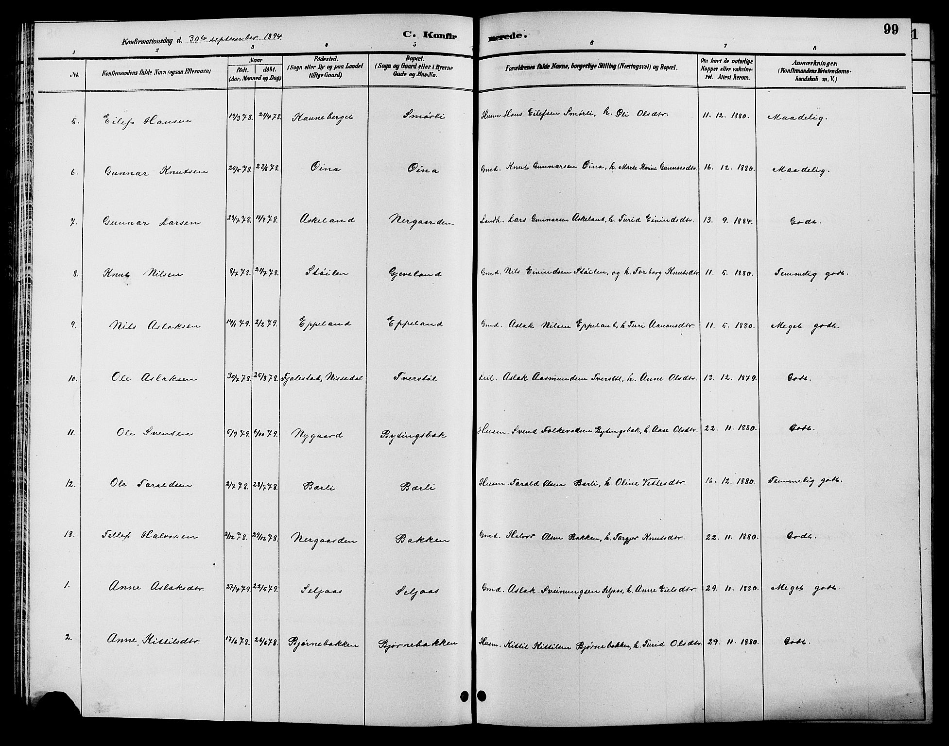 Åmli sokneprestkontor, SAK/1111-0050/F/Fb/Fbc/L0004: Klokkerbok nr. B 4, 1889-1902, s. 99