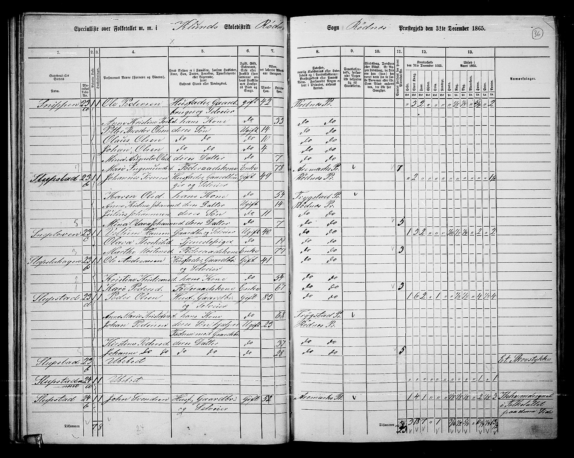 RA, Folketelling 1865 for 0120P Rødenes prestegjeld, 1865, s. 32