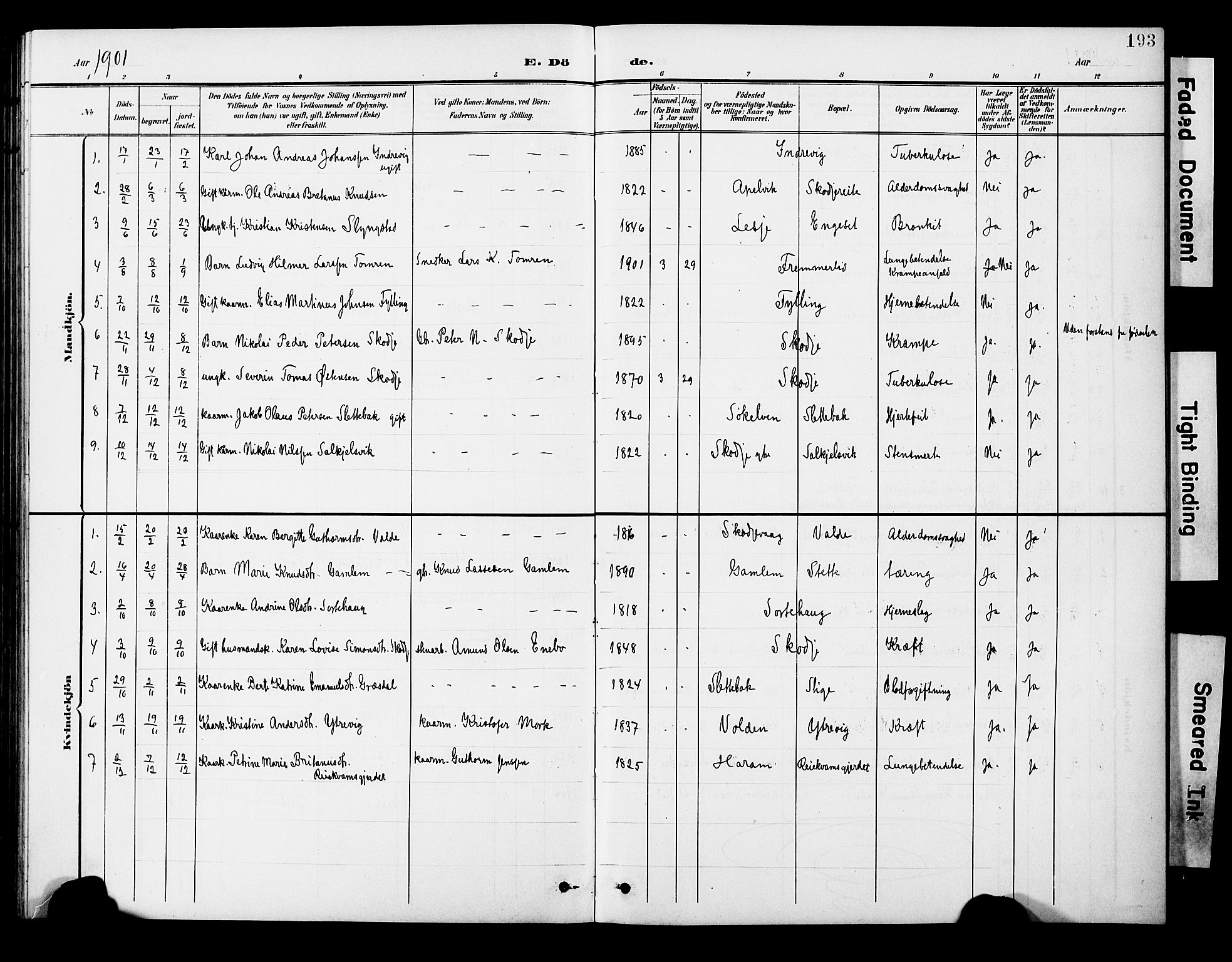 Ministerialprotokoller, klokkerbøker og fødselsregistre - Møre og Romsdal, AV/SAT-A-1454/524/L0366: Klokkerbok nr. 524C07, 1900-1931, s. 193