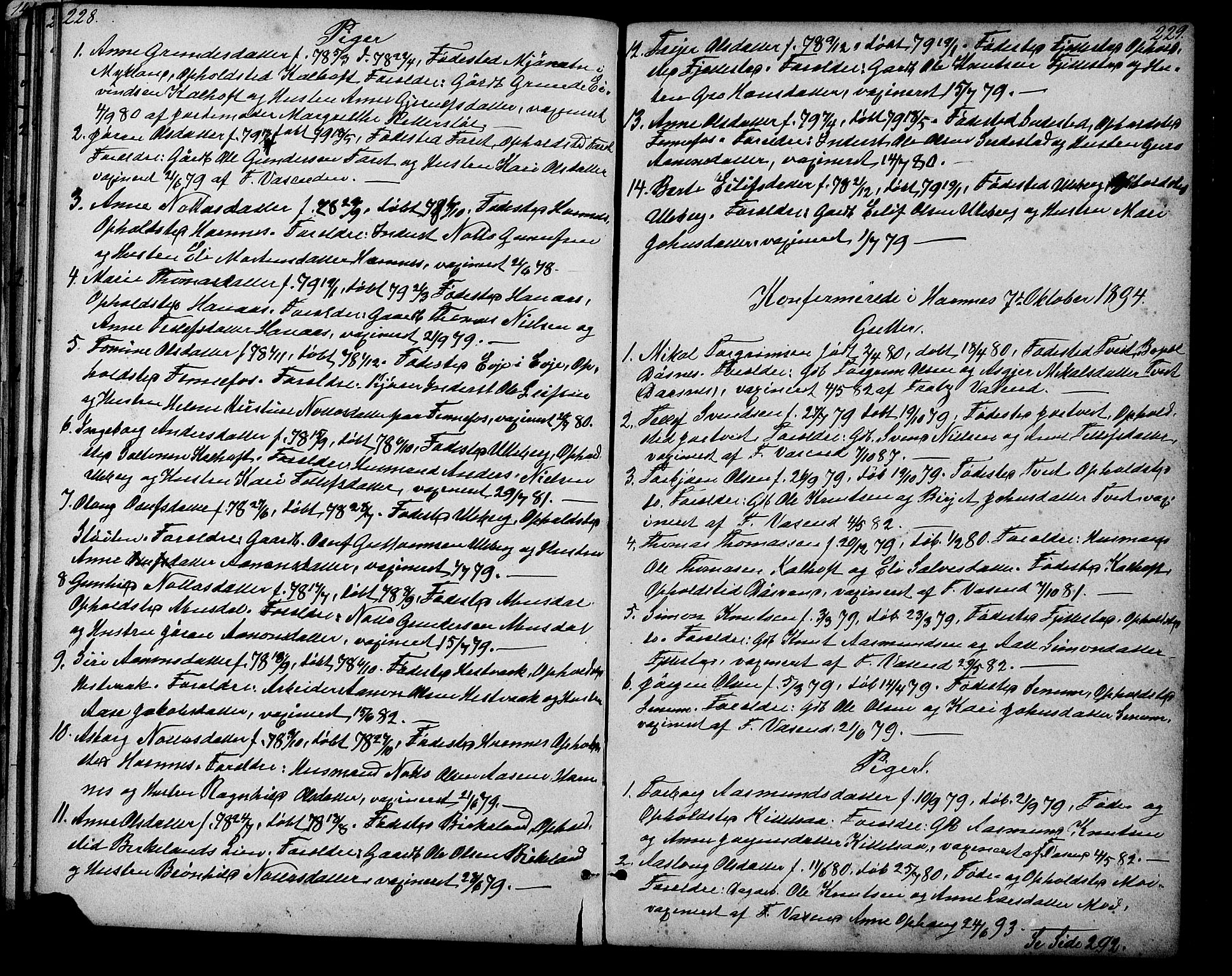 Evje sokneprestkontor, AV/SAK-1111-0008/F/Fb/Fbb/L0002: Klokkerbok nr. B 2, 1879-1909, s. 228-229
