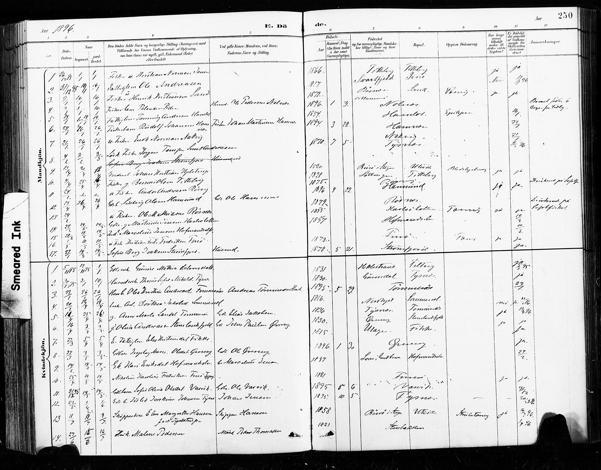 Ministerialprotokoller, klokkerbøker og fødselsregistre - Nordland, AV/SAT-A-1459/859/L0847: Ministerialbok nr. 859A07, 1890-1899, s. 250