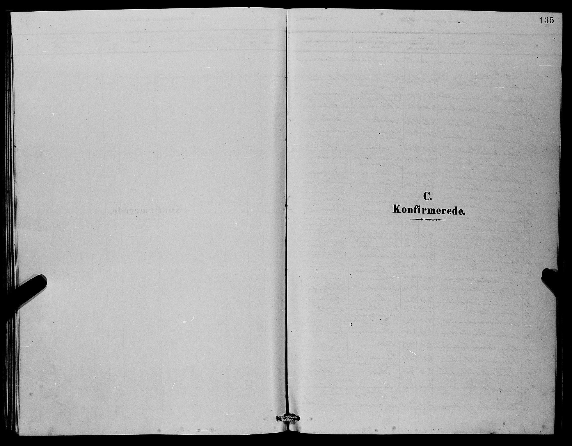 Laksevåg Sokneprestembete, SAB/A-76501/H/Ha/Hab/Haba/L0002: Klokkerbok nr. A 2, 1877-1887, s. 135