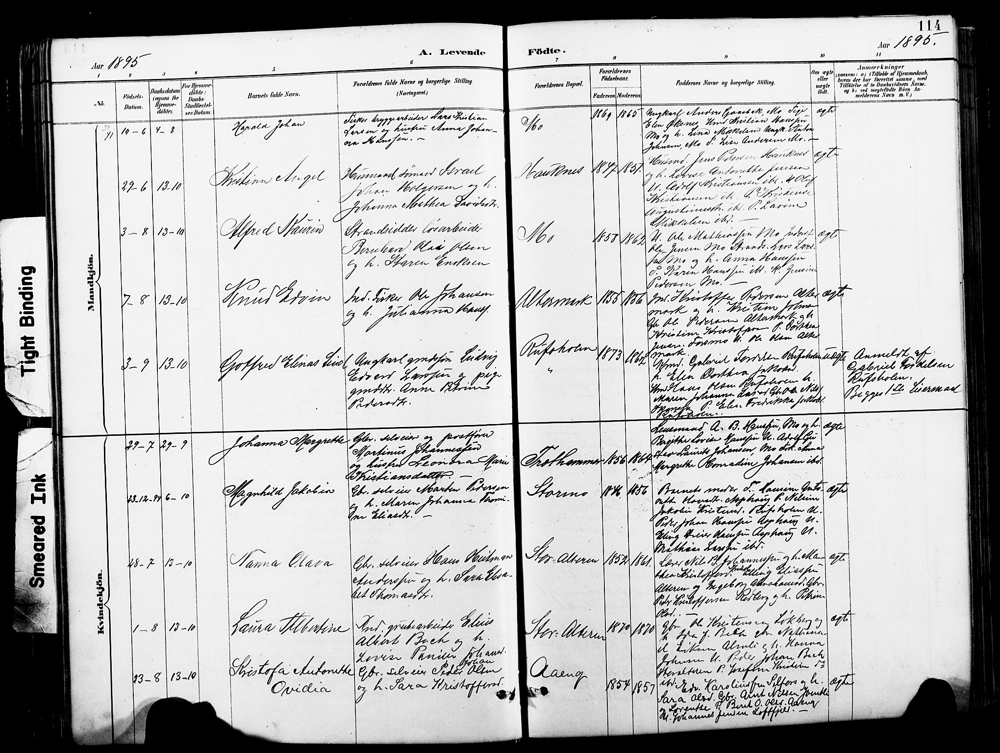 Ministerialprotokoller, klokkerbøker og fødselsregistre - Nordland, AV/SAT-A-1459/827/L0421: Klokkerbok nr. 827C10, 1887-1906, s. 114