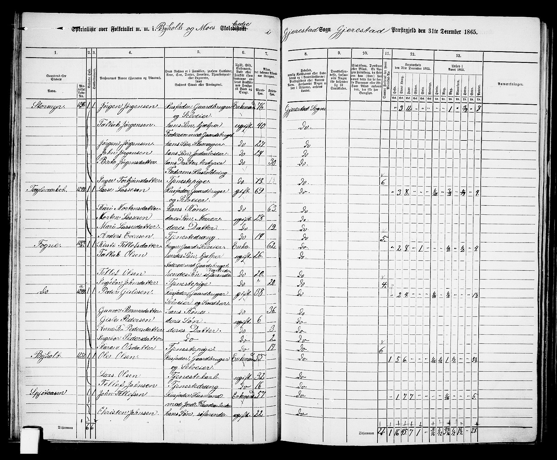 RA, Folketelling 1865 for 0911P Gjerstad prestegjeld, 1865, s. 36