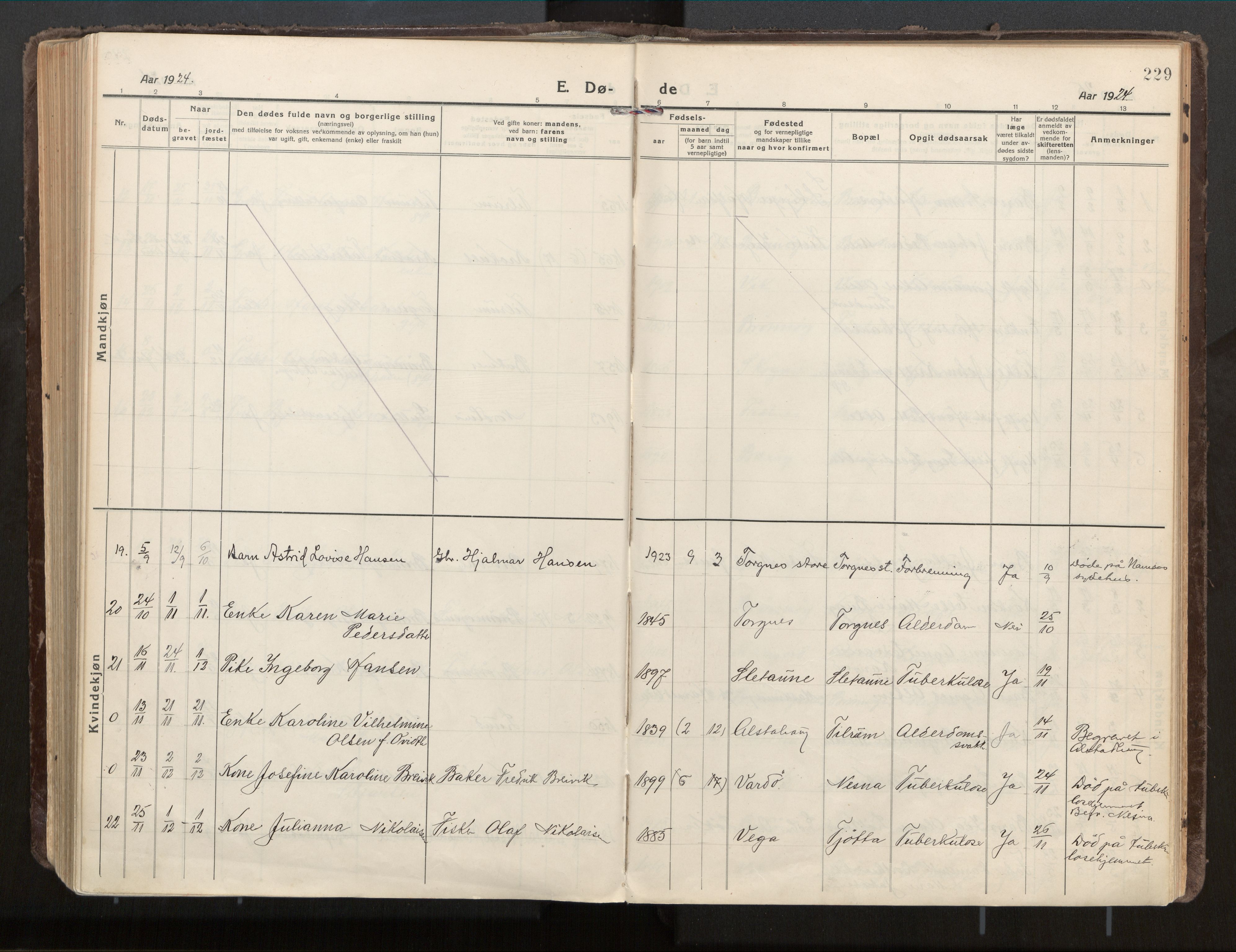 Ministerialprotokoller, klokkerbøker og fødselsregistre - Nordland, AV/SAT-A-1459/813/L0207a: Ministerialbok nr. 813A18, 1919-1927, s. 229