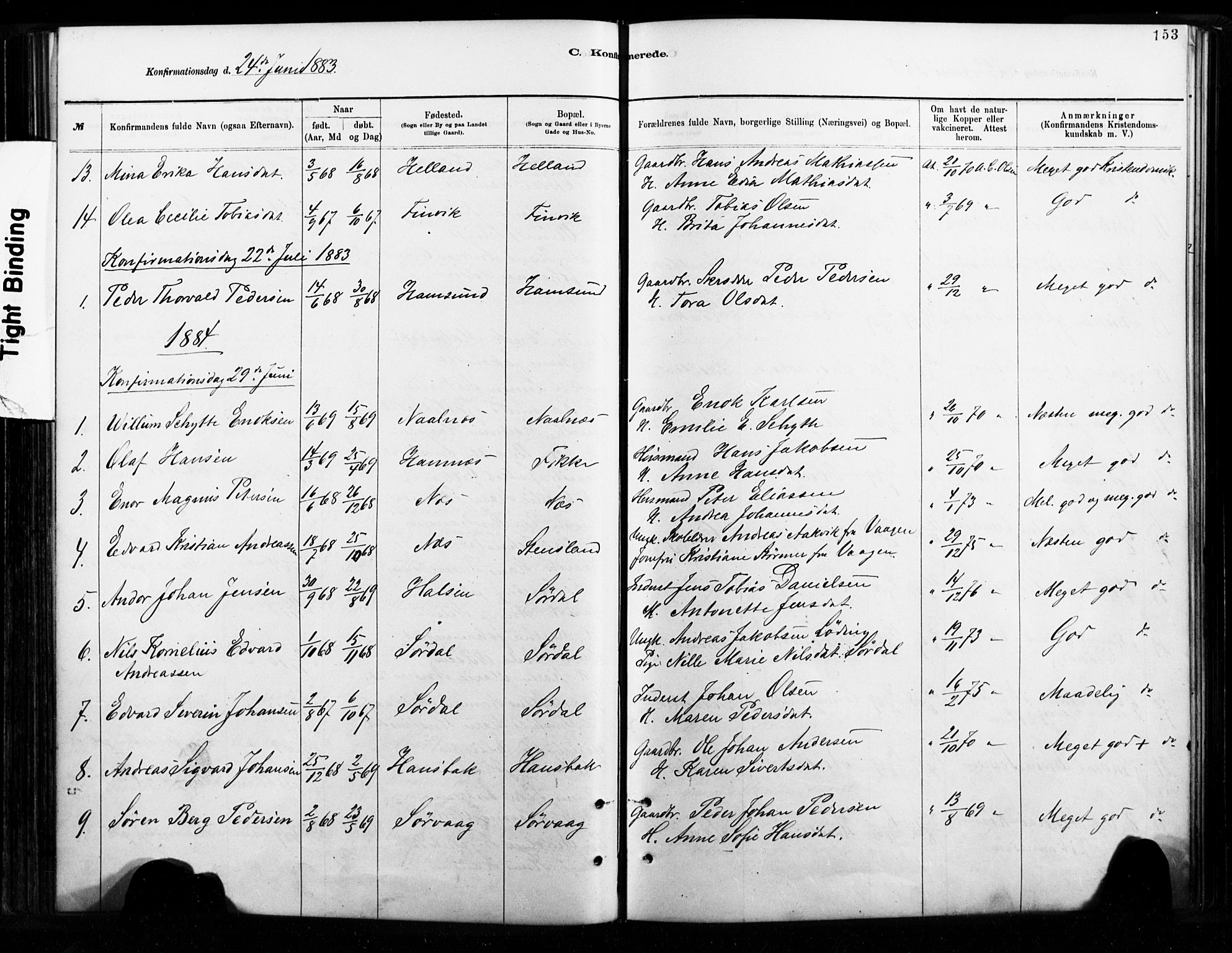 Ministerialprotokoller, klokkerbøker og fødselsregistre - Nordland, SAT/A-1459/859/L0846: Ministerialbok nr. 859A06, 1878-1889, s. 153