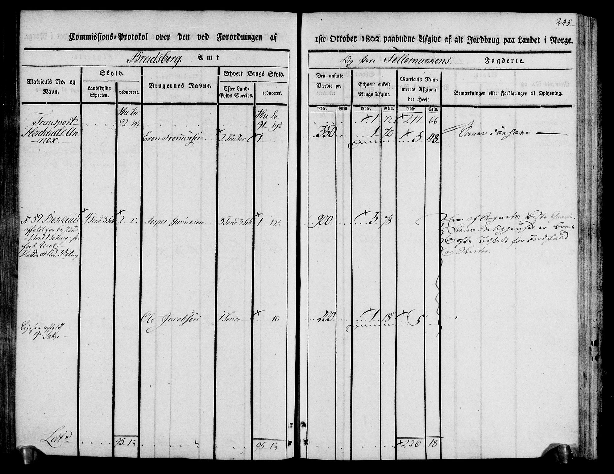 Rentekammeret inntil 1814, Realistisk ordnet avdeling, RA/EA-4070/N/Ne/Nea/L0074: Øvre Telemarken fogderi. Kommisjonsprotokoll for fogderiets østre del - Tinn, Hjartdal og Seljord prestegjeld., 1803, s. 245