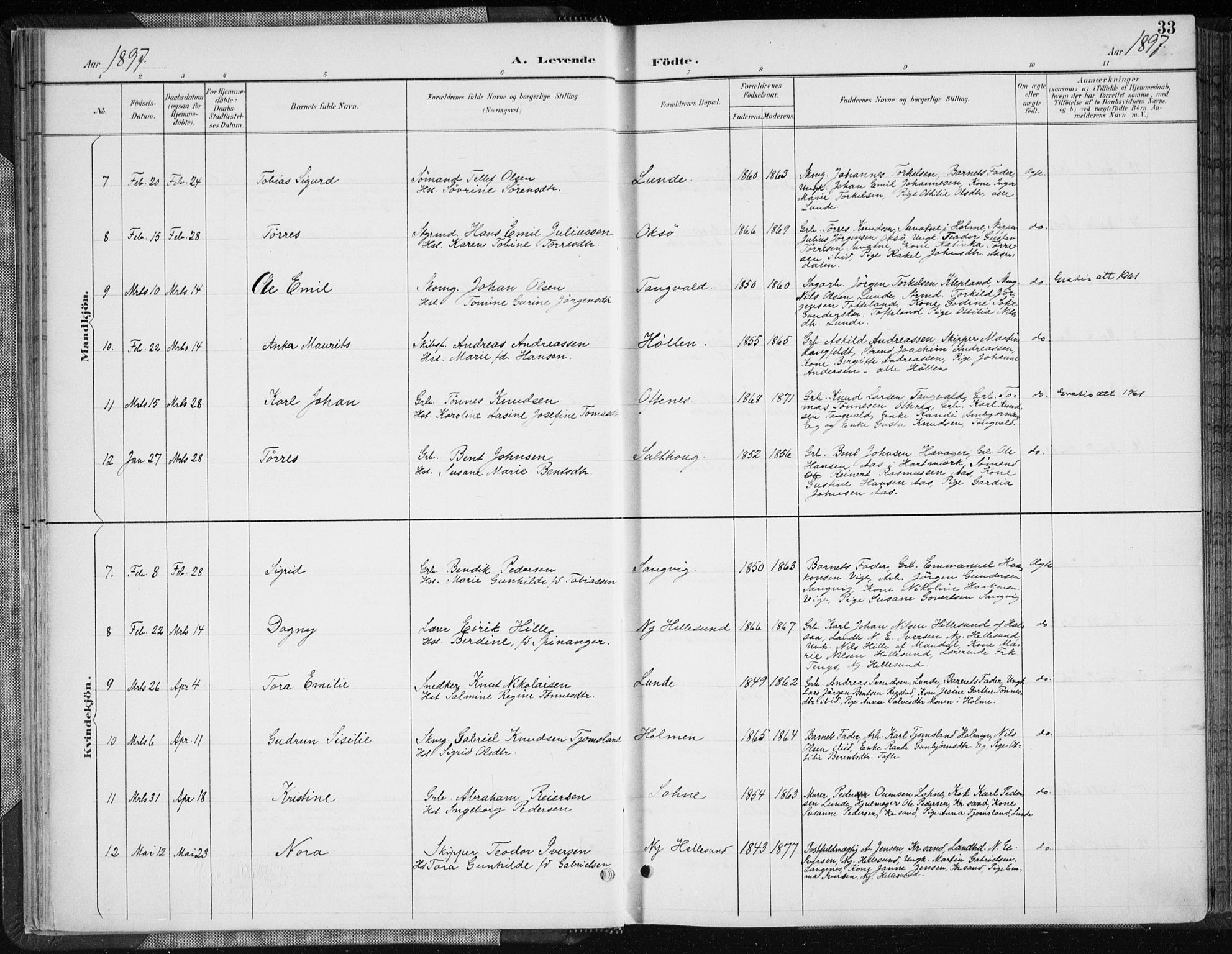 Søgne sokneprestkontor, AV/SAK-1111-0037/F/Fa/Fab/L0013: Ministerialbok nr. A 13, 1892-1911, s. 33