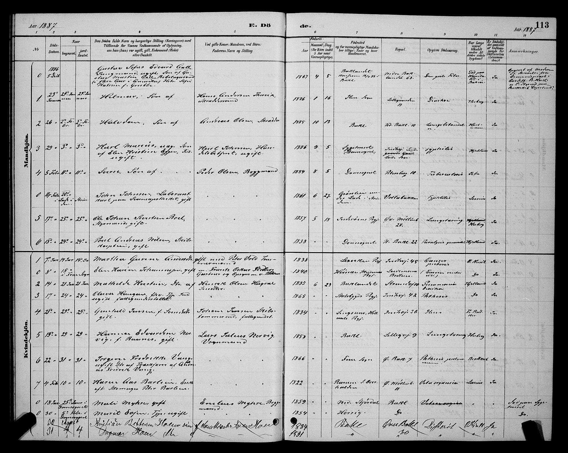 Ministerialprotokoller, klokkerbøker og fødselsregistre - Sør-Trøndelag, AV/SAT-A-1456/604/L0223: Klokkerbok nr. 604C06, 1886-1897, s. 113