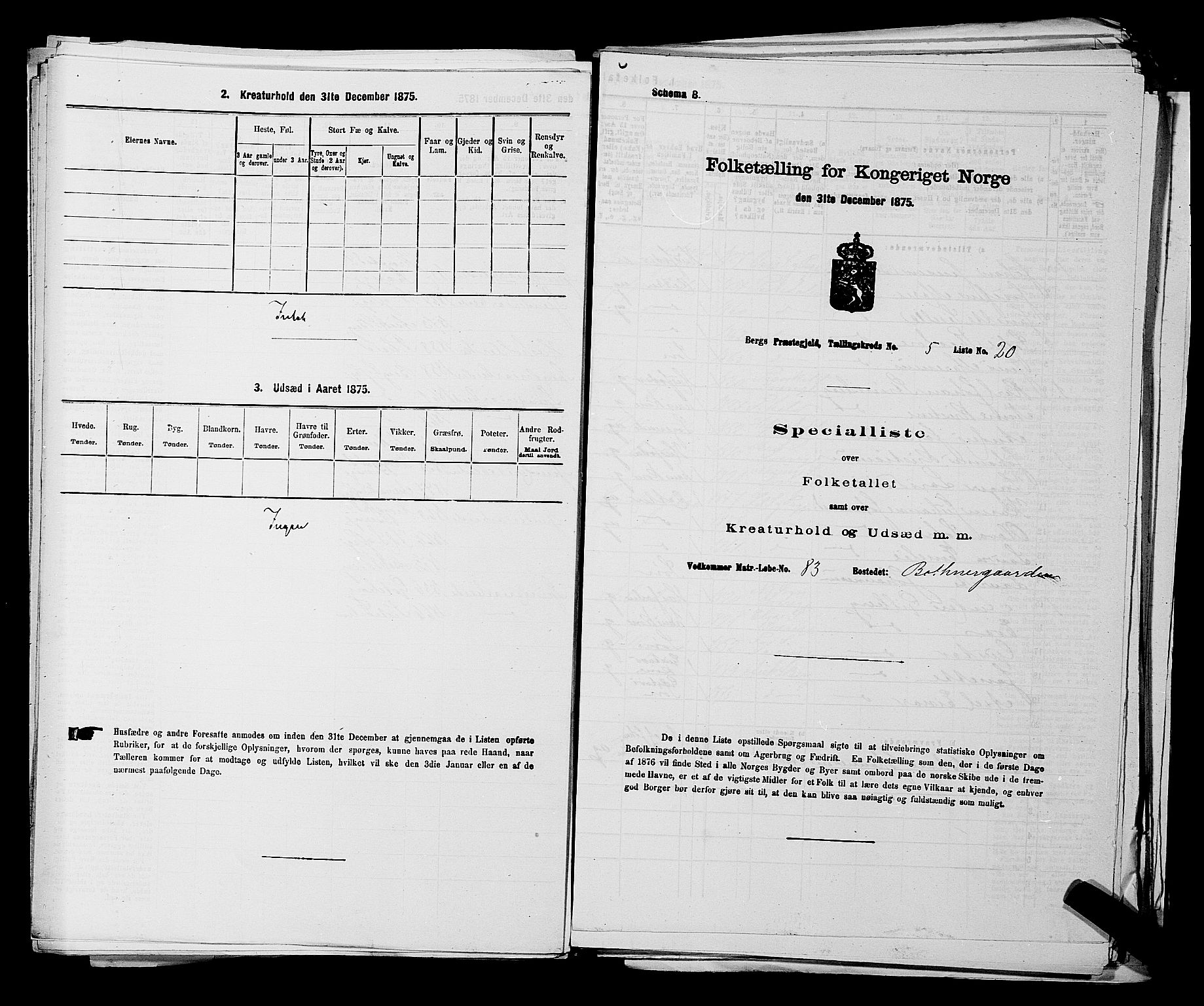 RA, Folketelling 1875 for 0116P Berg prestegjeld, 1875, s. 725