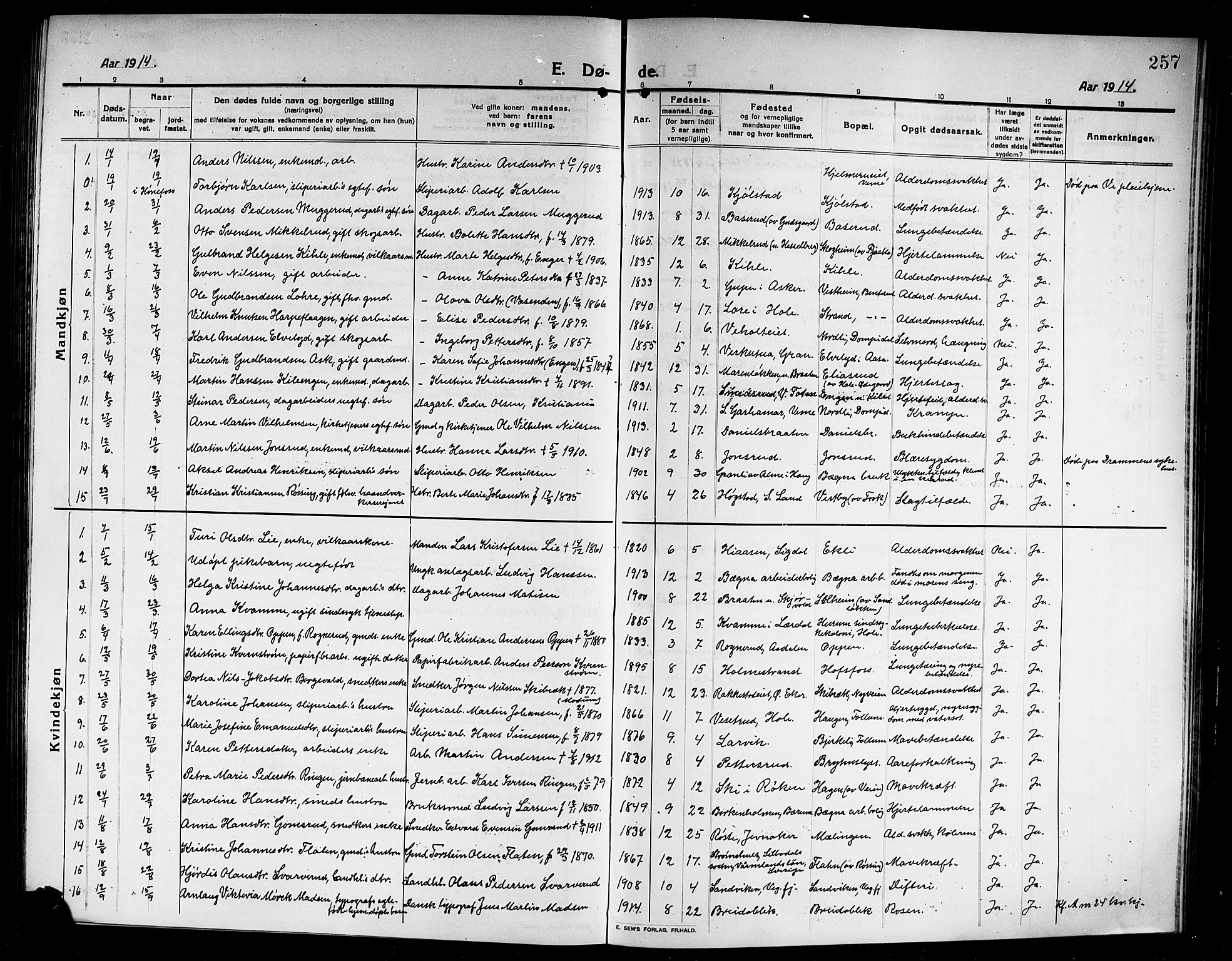Norderhov kirkebøker, SAKO/A-237/G/Ga/L0009: Klokkerbok nr. I 9, 1913-1920, s. 257