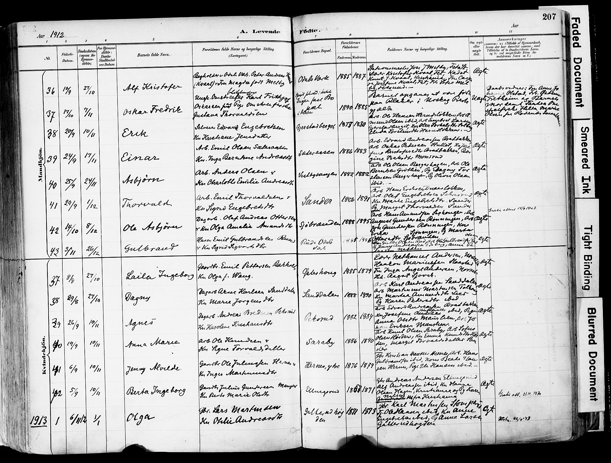 Sør-Odal prestekontor, SAH/PREST-030/H/Ha/Haa/L0006: Ministerialbok nr. 6, 1886-1931, s. 207