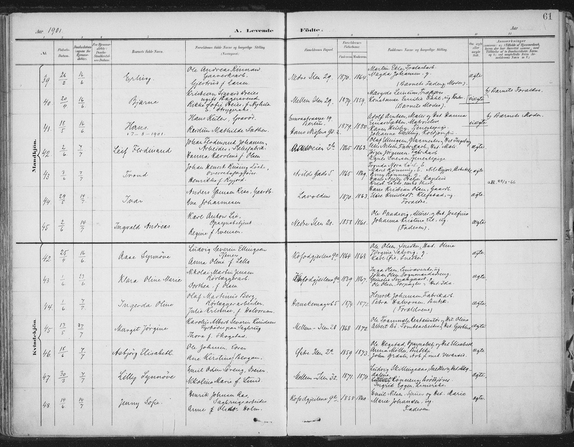 Ministerialprotokoller, klokkerbøker og fødselsregistre - Sør-Trøndelag, SAT/A-1456/603/L0167: Ministerialbok nr. 603A06, 1896-1932, s. 61