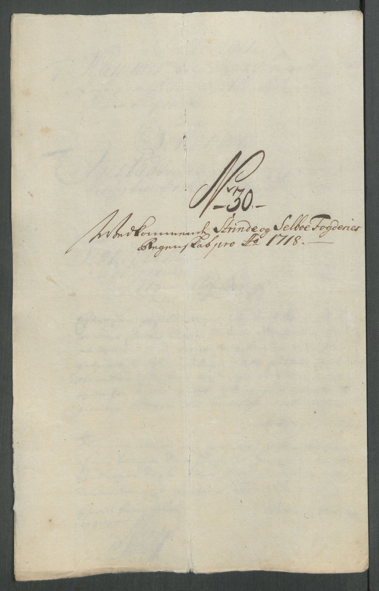 Rentekammeret inntil 1814, Reviderte regnskaper, Fogderegnskap, RA/EA-4092/R61/L4116: Fogderegnskap Strinda og Selbu, 1717-1718, s. 492