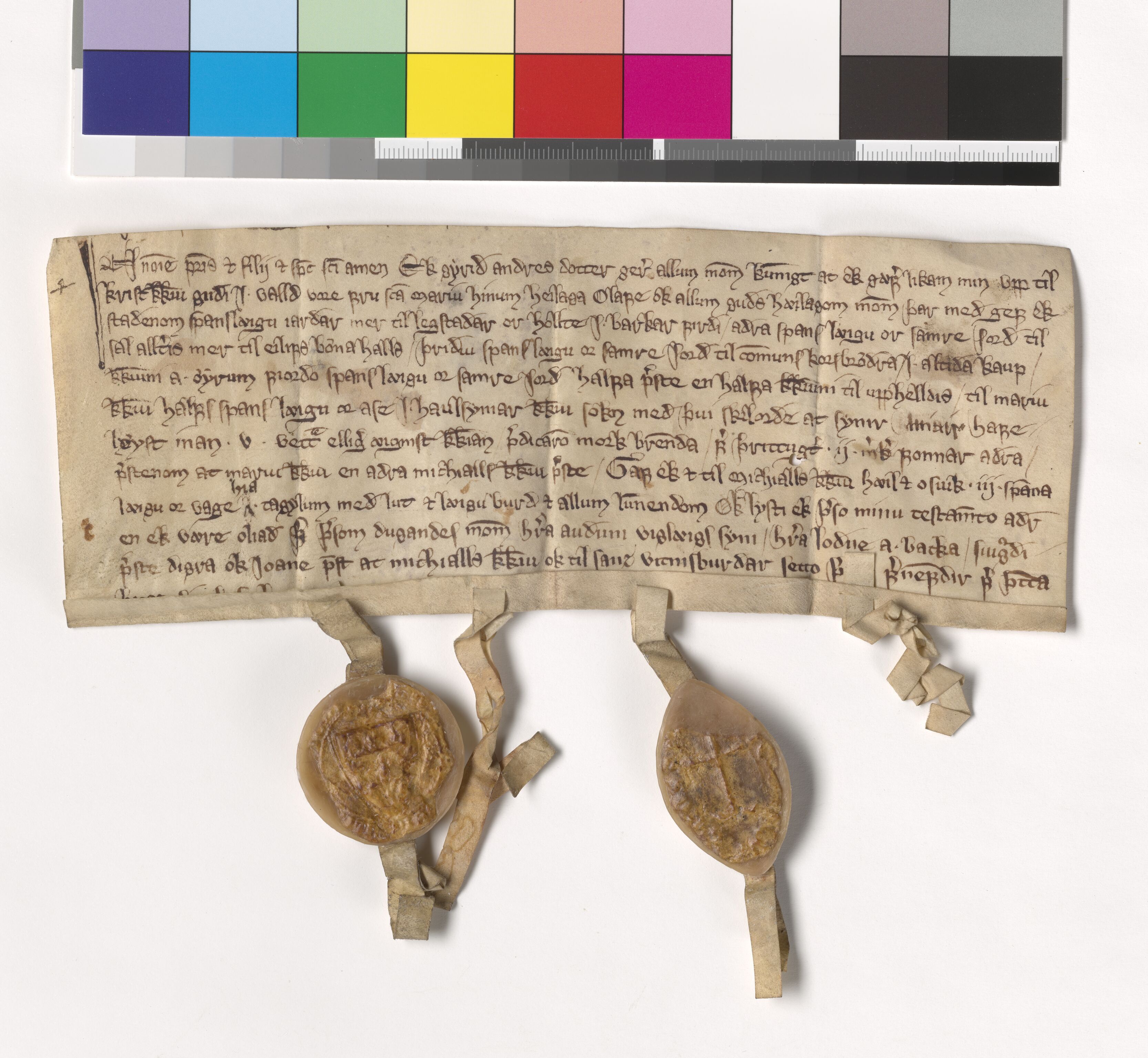 Riksarkivets diplomsamling, AV/RA-EA-5965/F05/L0068: NRA AM fasc. 20 nr. 3-7, 1294-1303, s. 8