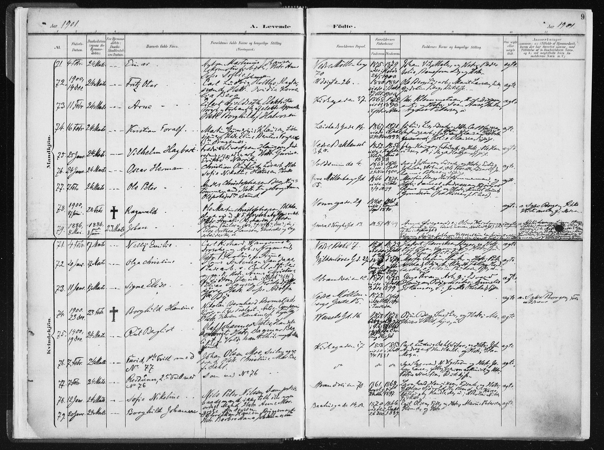 Ministerialprotokoller, klokkerbøker og fødselsregistre - Sør-Trøndelag, SAT/A-1456/604/L0199: Ministerialbok nr. 604A20I, 1901-1906, s. 9