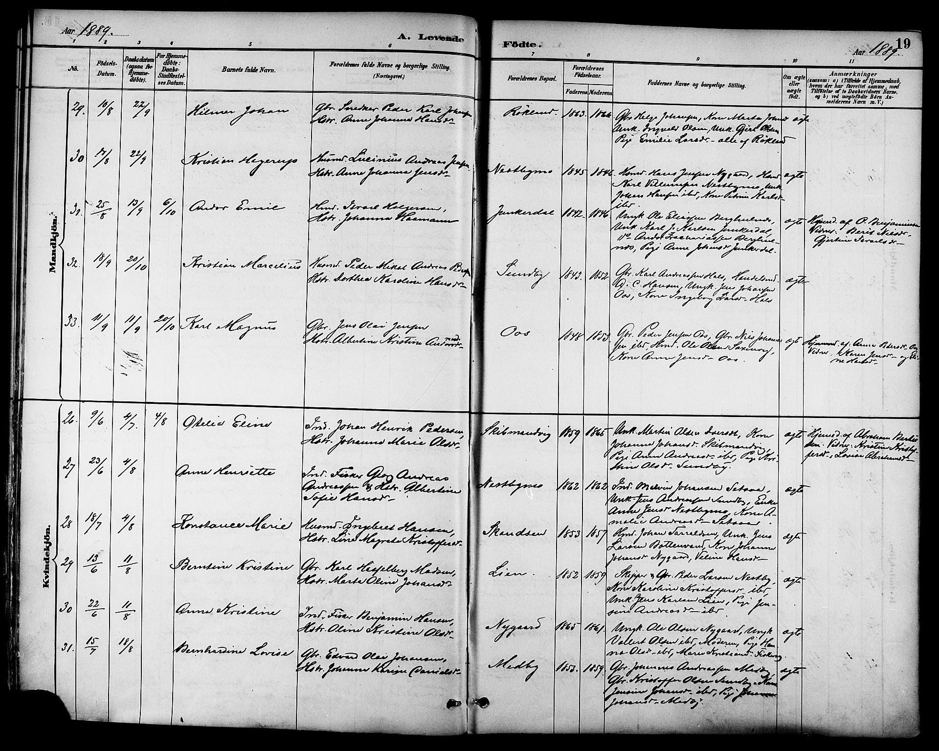 Ministerialprotokoller, klokkerbøker og fødselsregistre - Nordland, AV/SAT-A-1459/847/L0669: Ministerialbok nr. 847A09, 1887-1901, s. 19