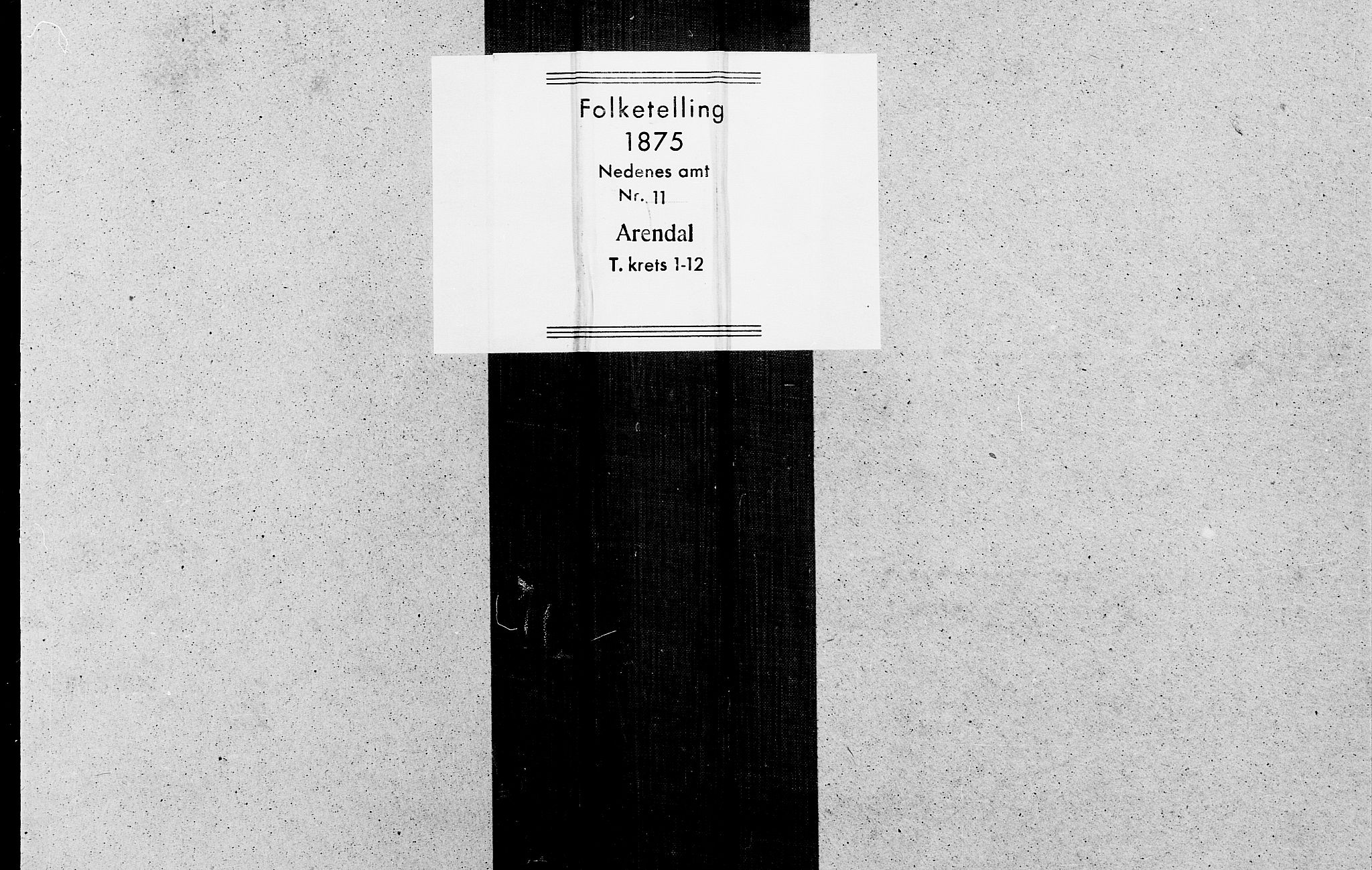 SAK, Folketelling 1875 for 0903P Arendal prestegjeld, 1875, s. 8