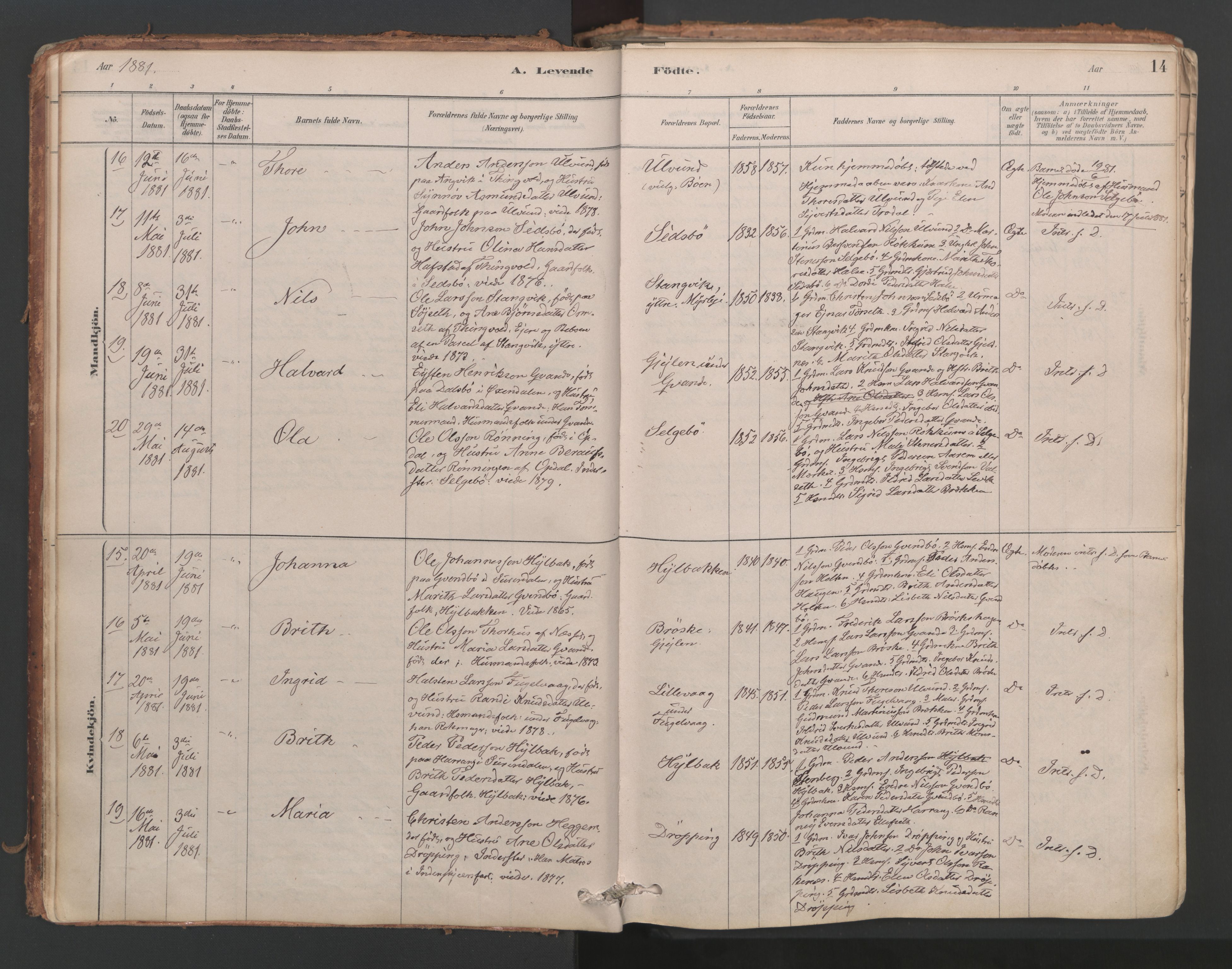 Ministerialprotokoller, klokkerbøker og fødselsregistre - Møre og Romsdal, AV/SAT-A-1454/592/L1029: Ministerialbok nr. 592A07, 1879-1902, s. 14