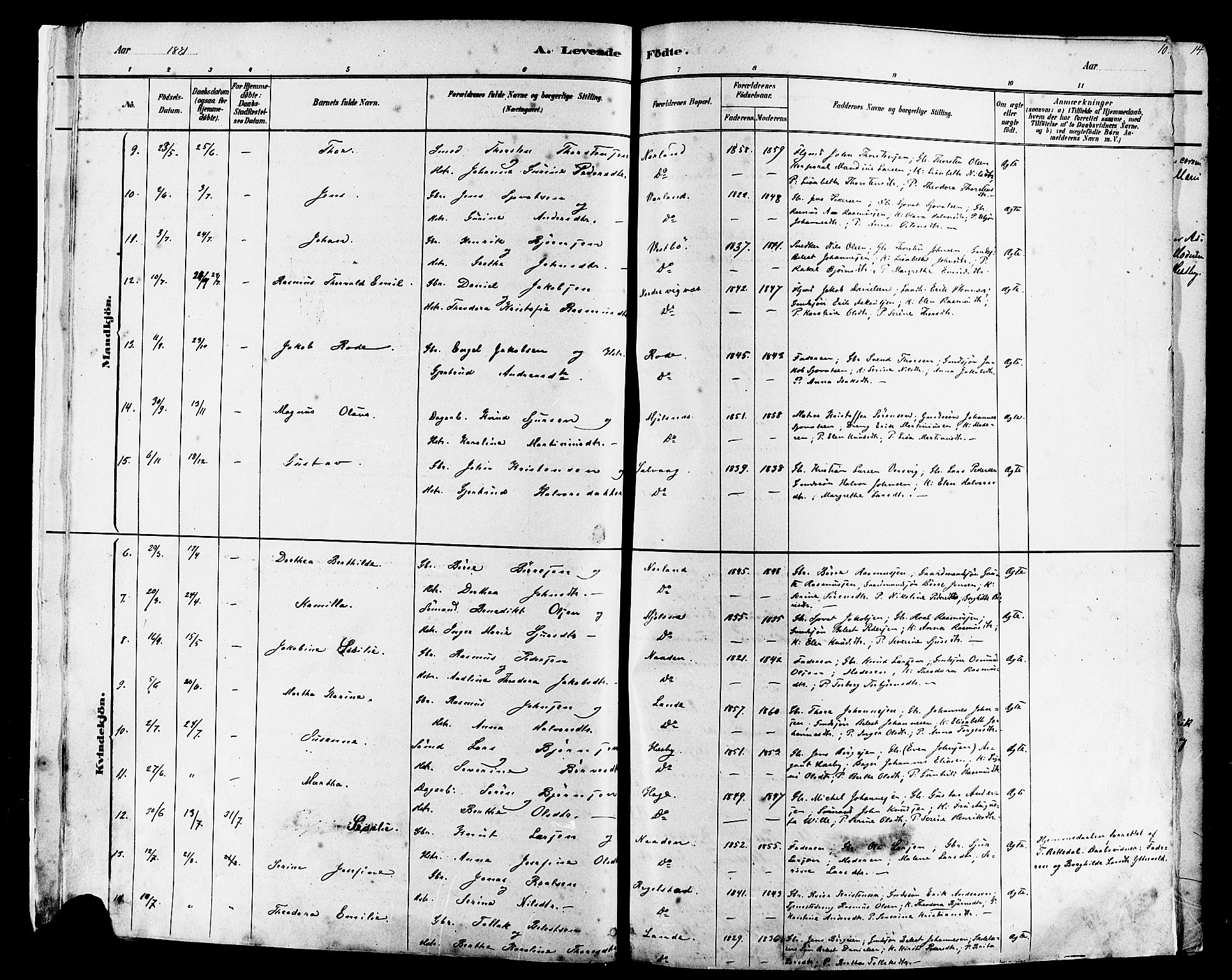 Finnøy sokneprestkontor, AV/SAST-A-101825/H/Ha/Haa/L0010: Ministerialbok nr. A 10, 1879-1890, s. 10