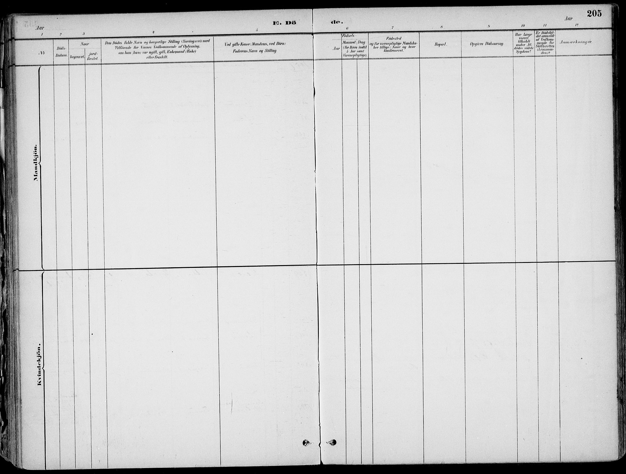 Larvik kirkebøker, AV/SAKO-A-352/F/Fb/L0004: Ministerialbok nr. II 4, 1884-1902, s. 205