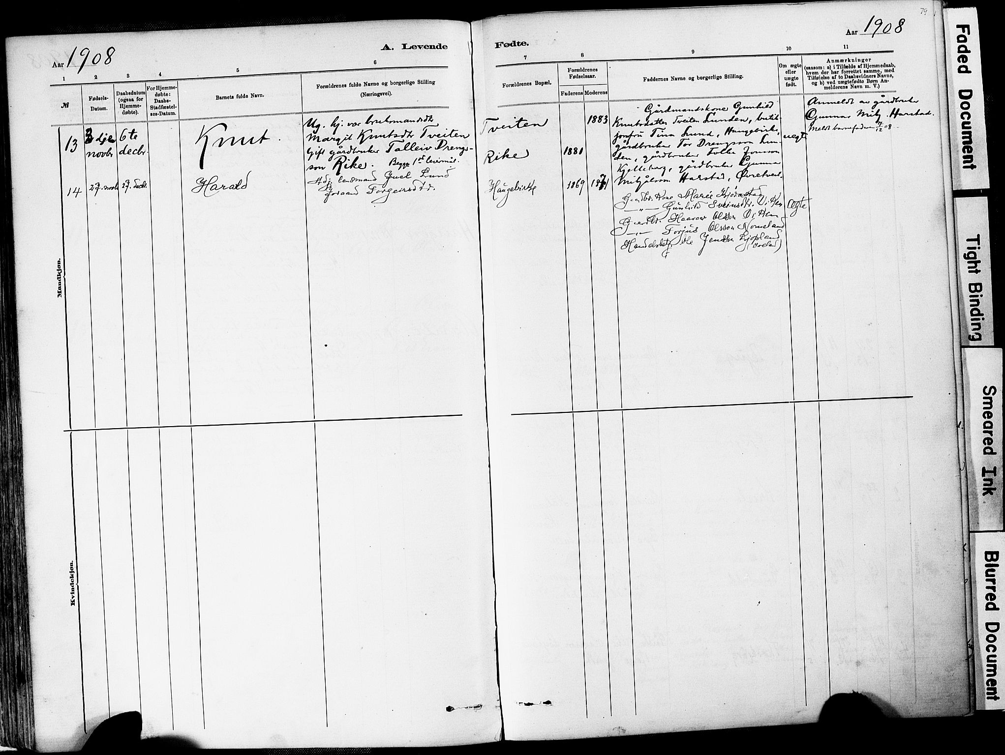 Valle sokneprestkontor, AV/SAK-1111-0044/F/Fa/Fac/L0009: Ministerialbok nr. A 9, 1882-1913, s. 79