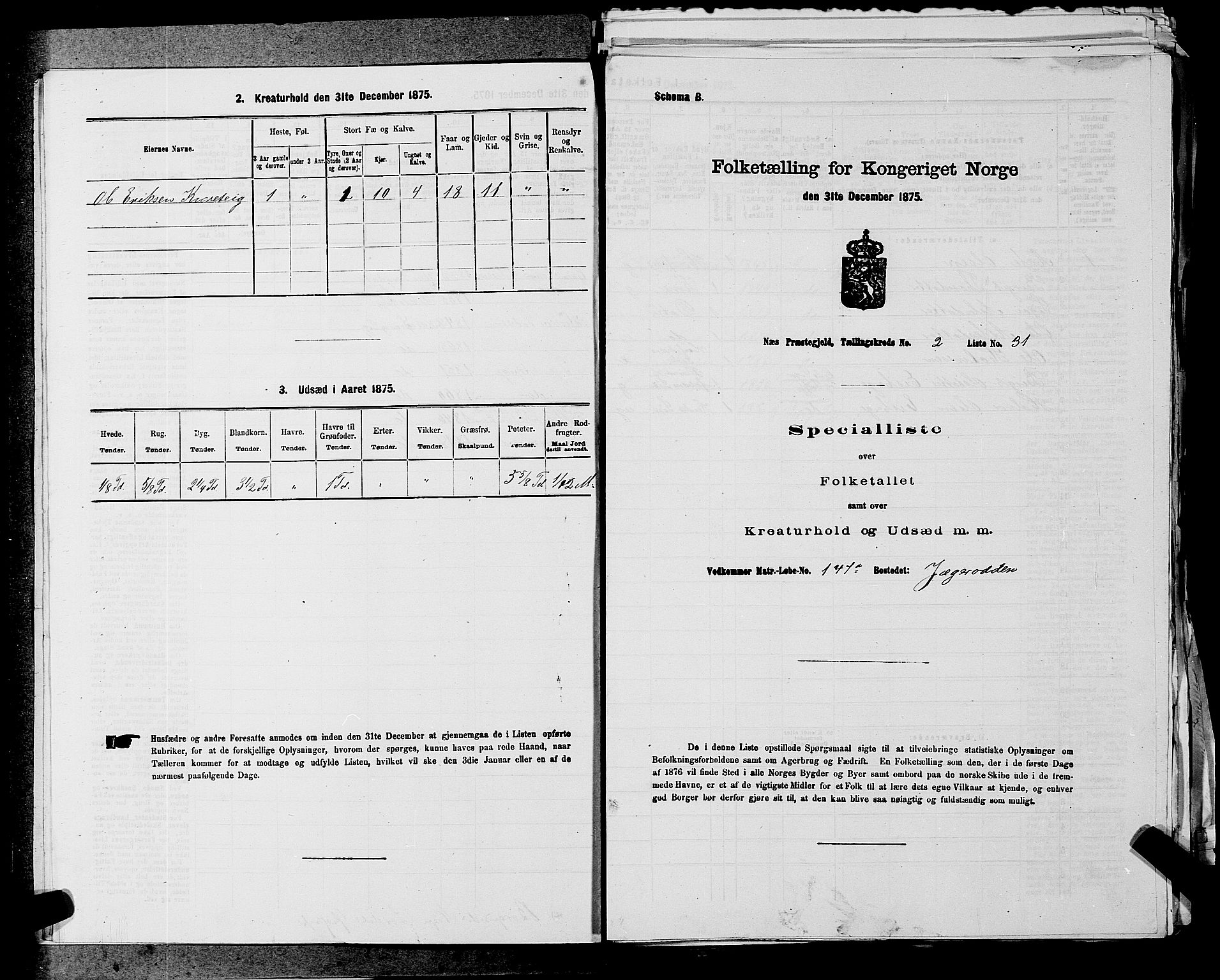 SAKO, Folketelling 1875 for 0616P Nes prestegjeld, 1875, s. 285