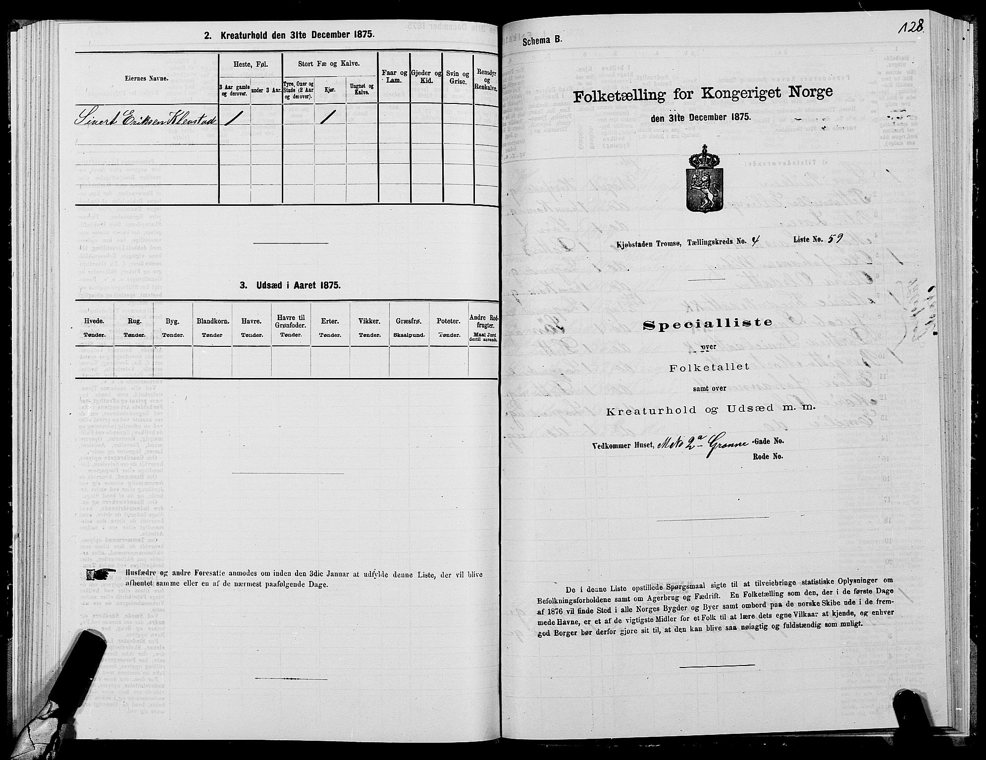 SATØ, Folketelling 1875 for 1902P Tromsø prestegjeld, 1875, s. 3128