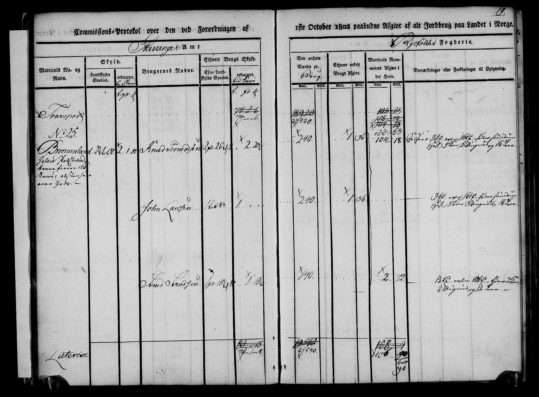 Rentekammeret inntil 1814, Realistisk ordnet avdeling, AV/RA-EA-4070/N/Ne/Nea/L0101: Ryfylke fogderi. Kommisjonsprotokoll for Jelsa, Hjelmeland og Årdal skipreider, 1803, s. 20