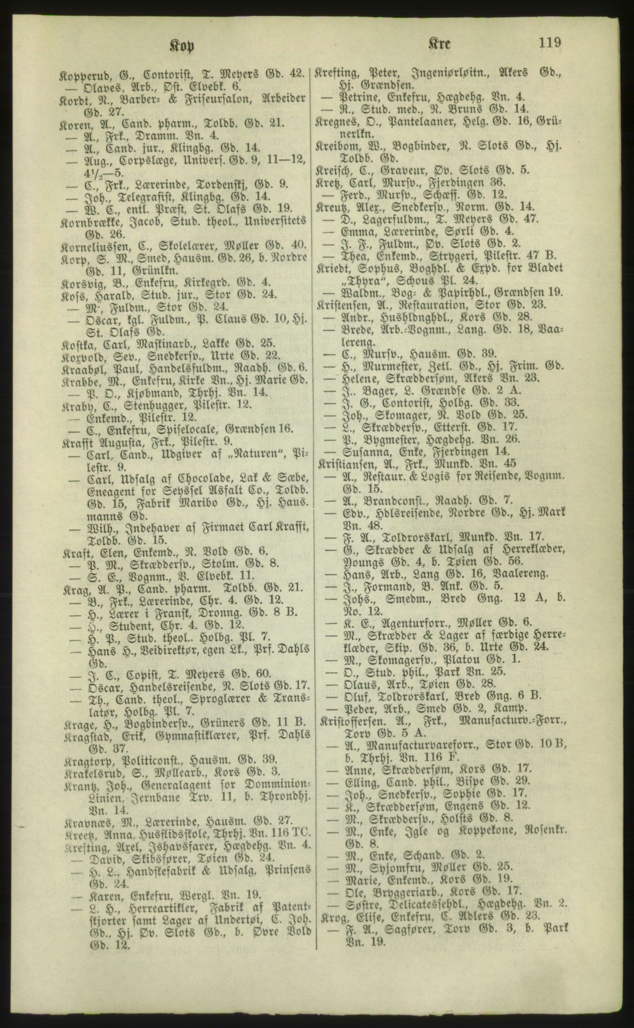 Kristiania/Oslo adressebok, PUBL/-, 1881, s. 119