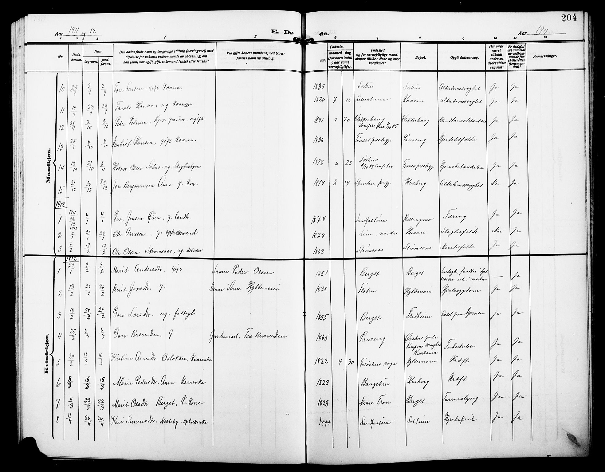 Alvdal prestekontor, SAH/PREST-060/H/Ha/Hab/L0005: Klokkerbok nr. 5, 1908-1923, s. 204