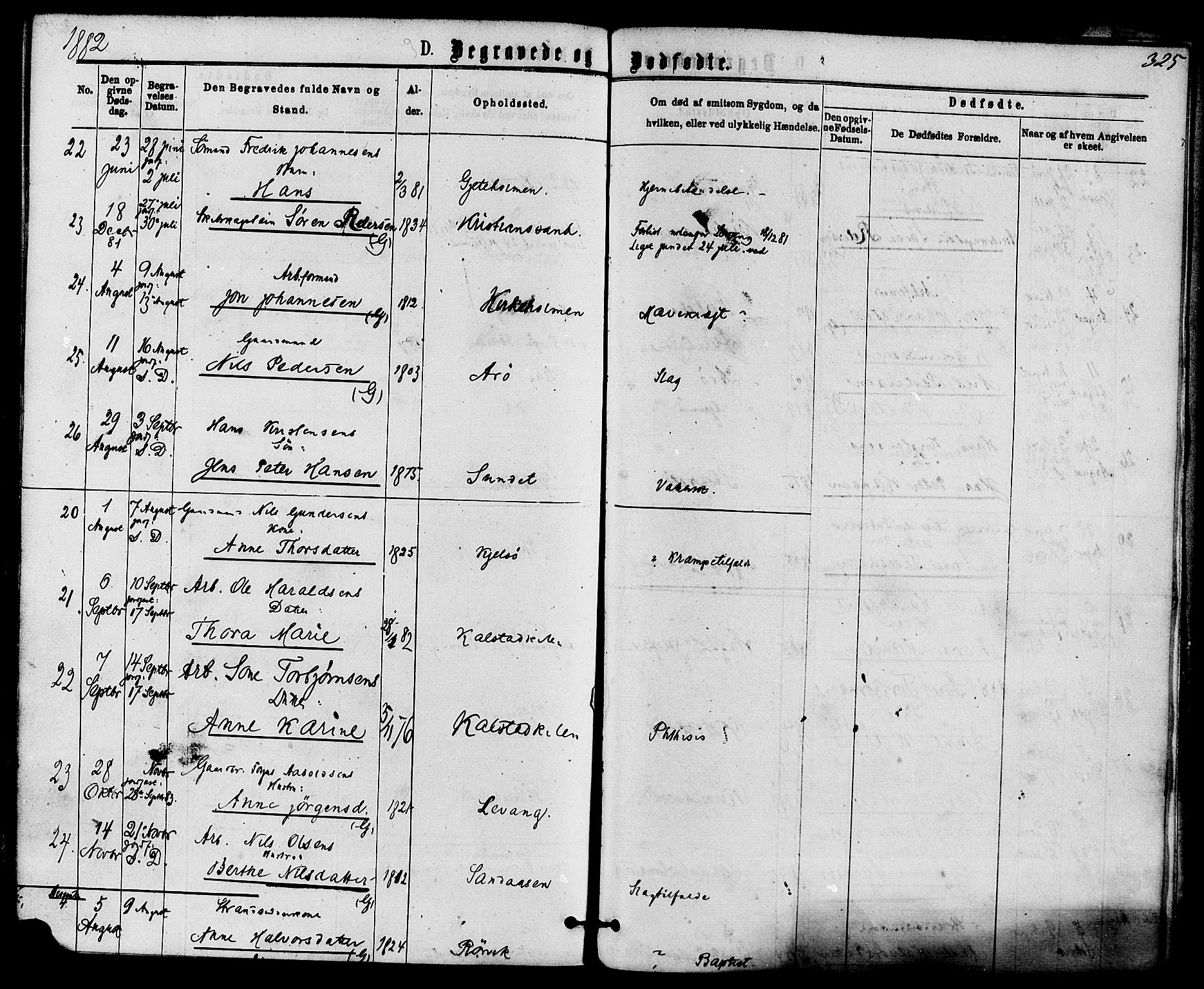 Skåtøy kirkebøker, AV/SAKO-A-304/F/Fa/L0001: Ministerialbok nr. I 1, 1874-1883, s. 325