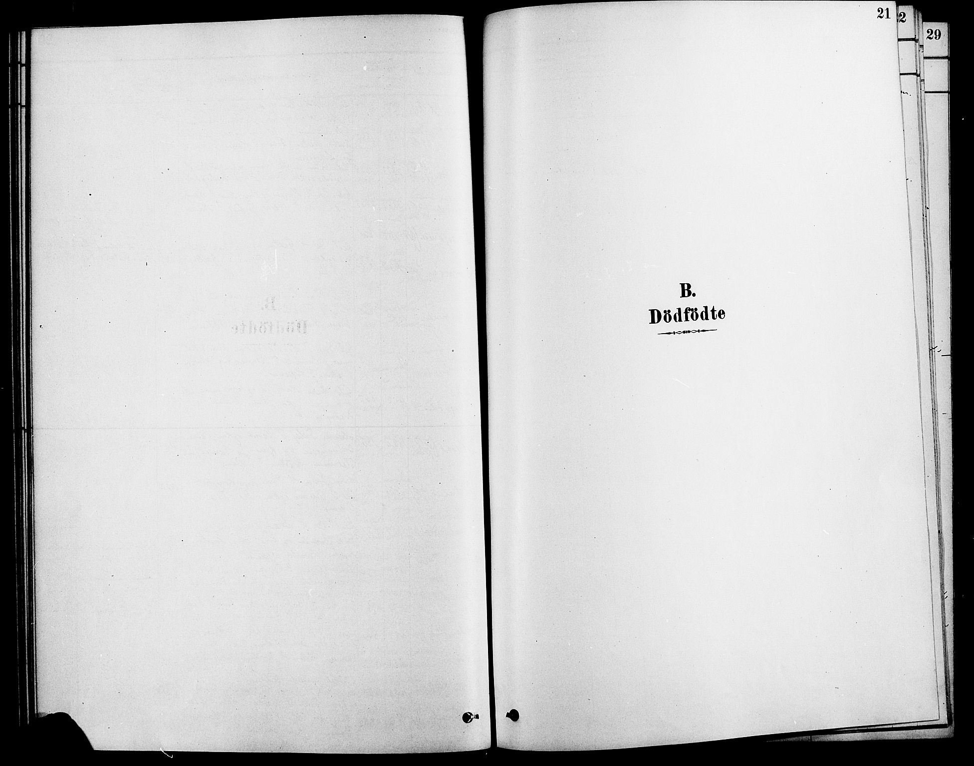 Rendalen prestekontor, AV/SAH-PREST-054/H/Ha/Haa/L0007: Ministerialbok nr. 7, 1878-1898, s. 21