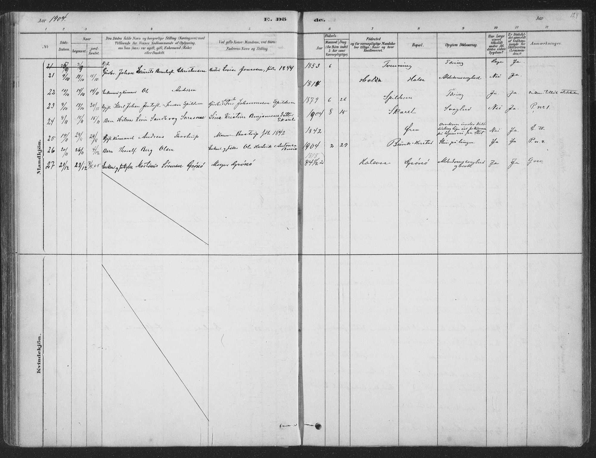 Ministerialprotokoller, klokkerbøker og fødselsregistre - Nordland, AV/SAT-A-1459/843/L0627: Ministerialbok nr. 843A02, 1878-1908, s. 124