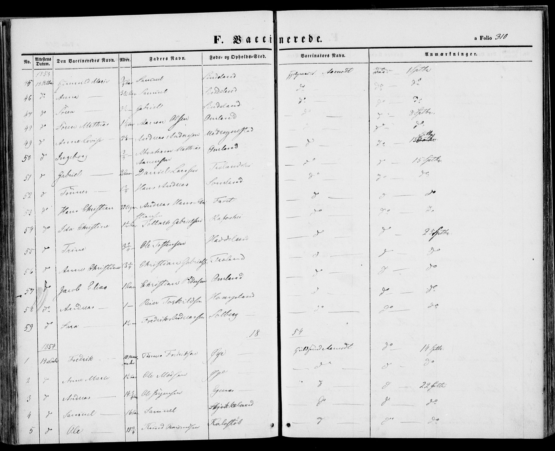 Kvinesdal sokneprestkontor, SAK/1111-0026/F/Fa/Fab/L0005: Ministerialbok nr. A 5, 1844-1857, s. 310