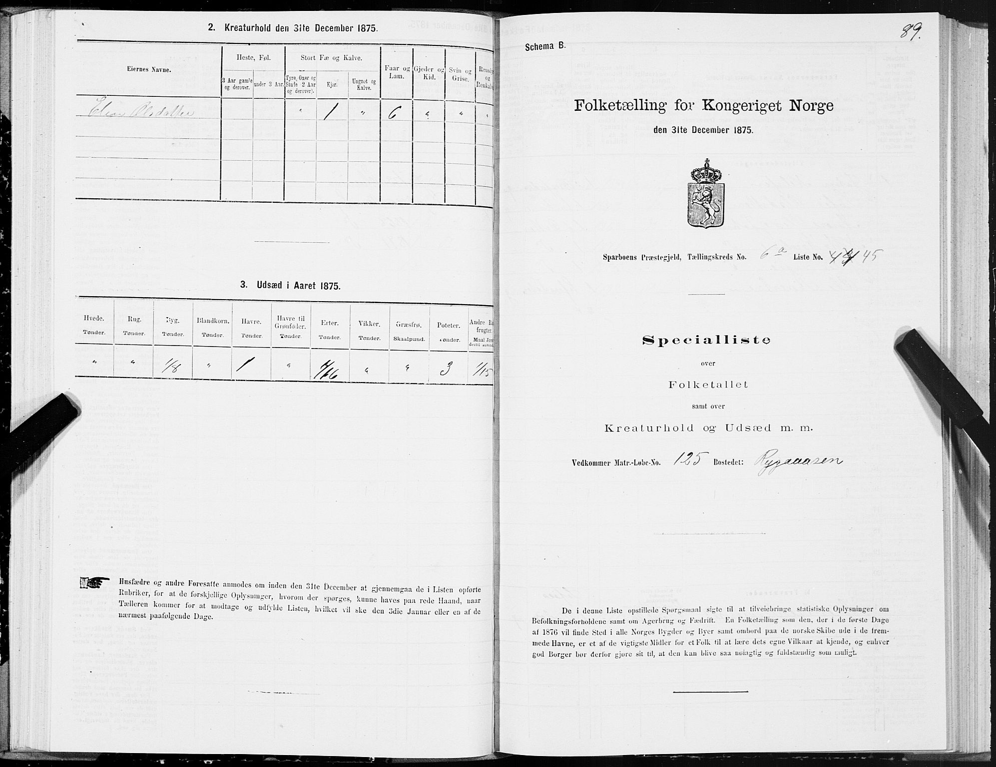 SAT, Folketelling 1875 for 1731P Sparbu prestegjeld, 1875, s. 3089