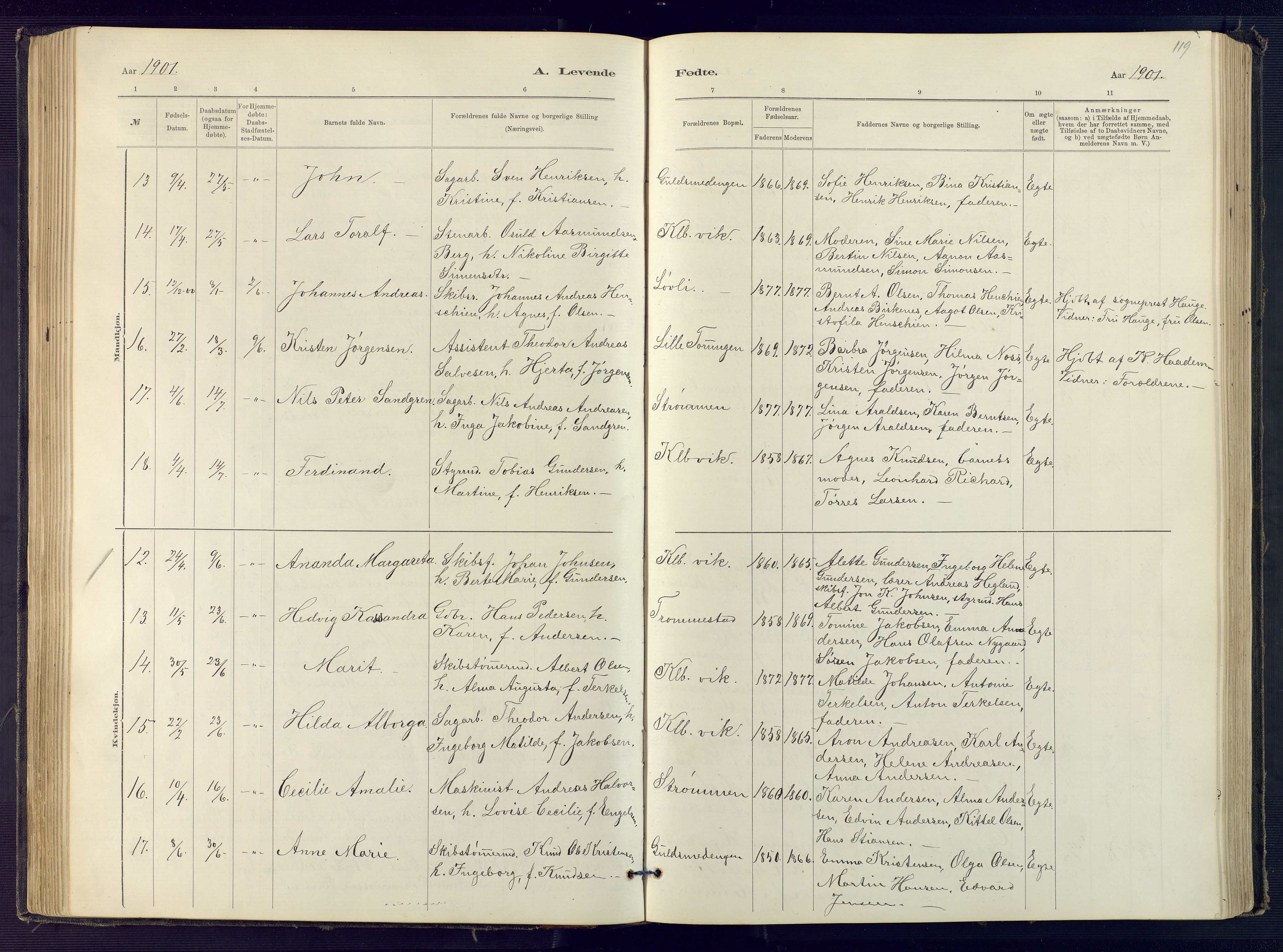 Hisøy sokneprestkontor, AV/SAK-1111-0020/F/Fb/L0003: Klokkerbok nr. B 3, 1885-1905, s. 119