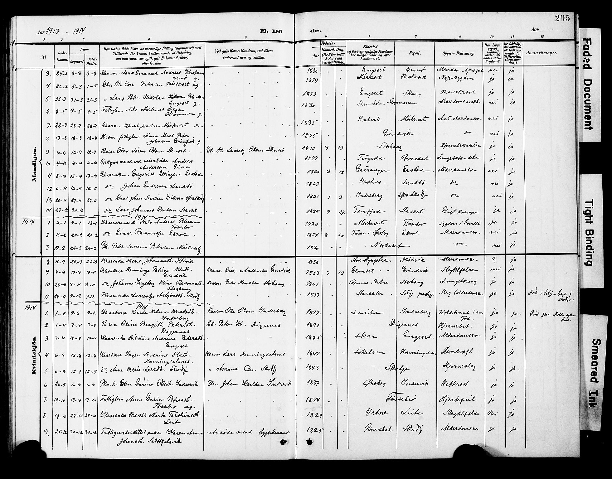 Ministerialprotokoller, klokkerbøker og fødselsregistre - Møre og Romsdal, AV/SAT-A-1454/524/L0366: Klokkerbok nr. 524C07, 1900-1931, s. 205