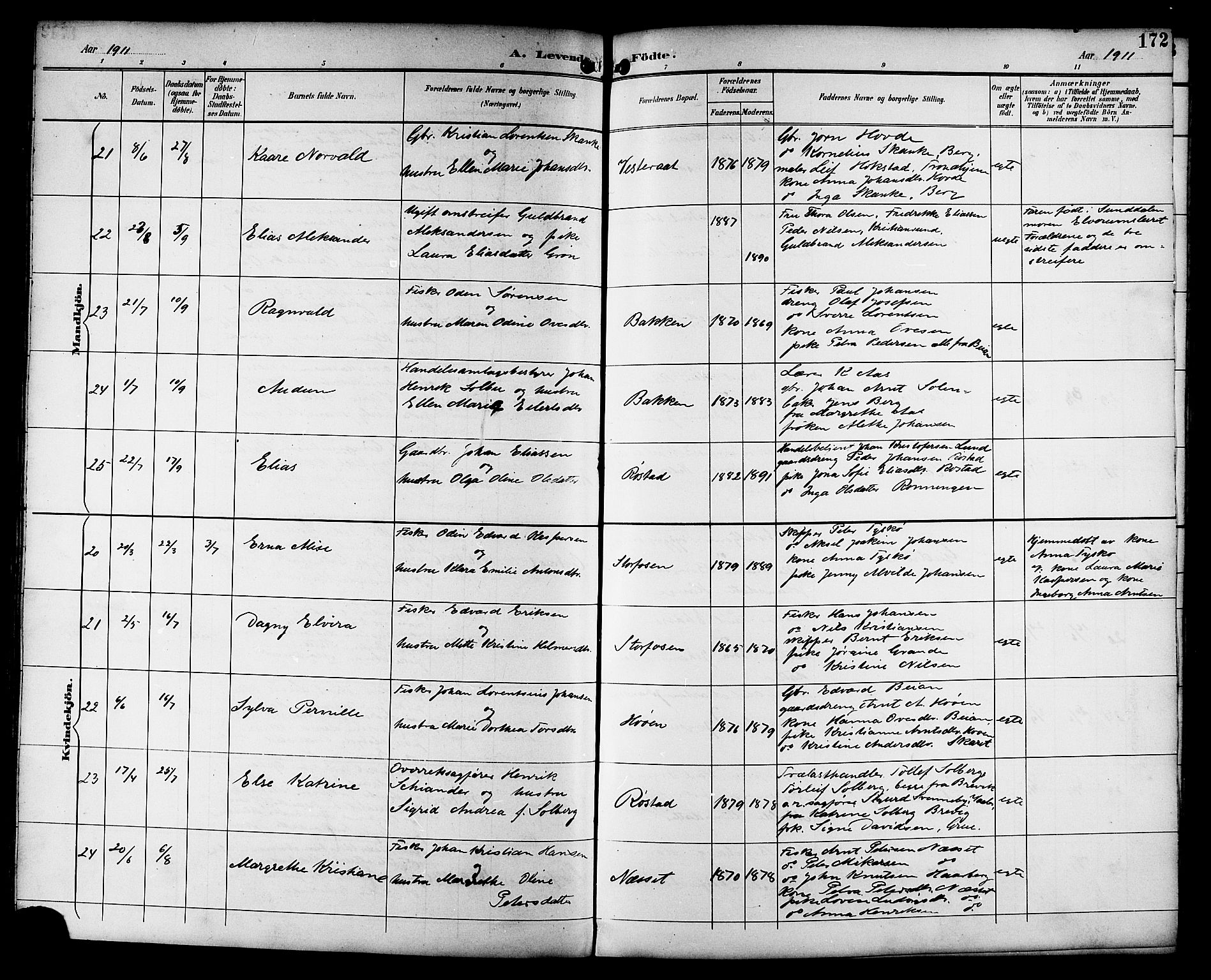 Ministerialprotokoller, klokkerbøker og fødselsregistre - Sør-Trøndelag, AV/SAT-A-1456/659/L0746: Klokkerbok nr. 659C03, 1893-1912, s. 172