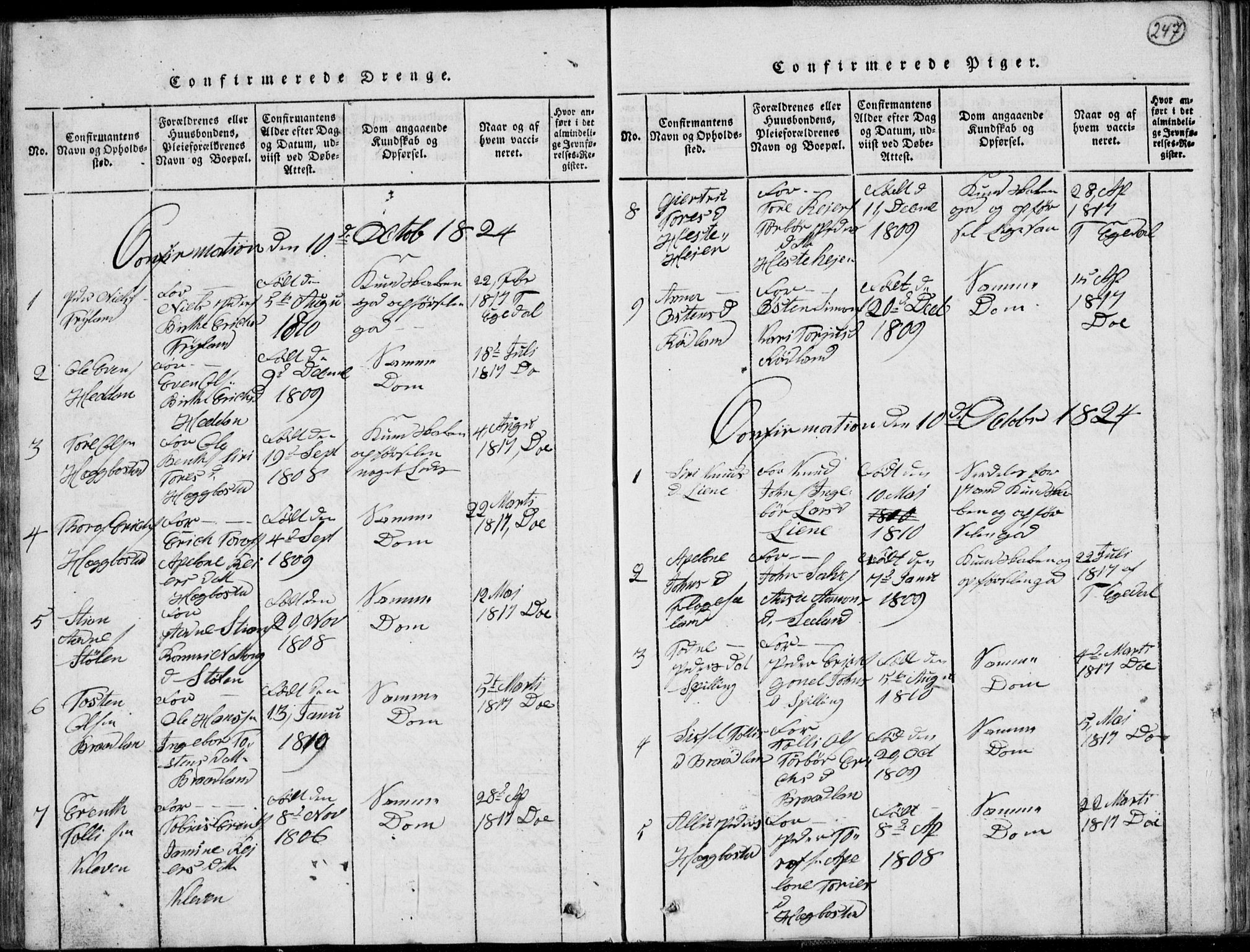 Nord-Audnedal sokneprestkontor, SAK/1111-0032/F/Fb/Fbb/L0001: Klokkerbok nr. B 1, 1816-1858, s. 247