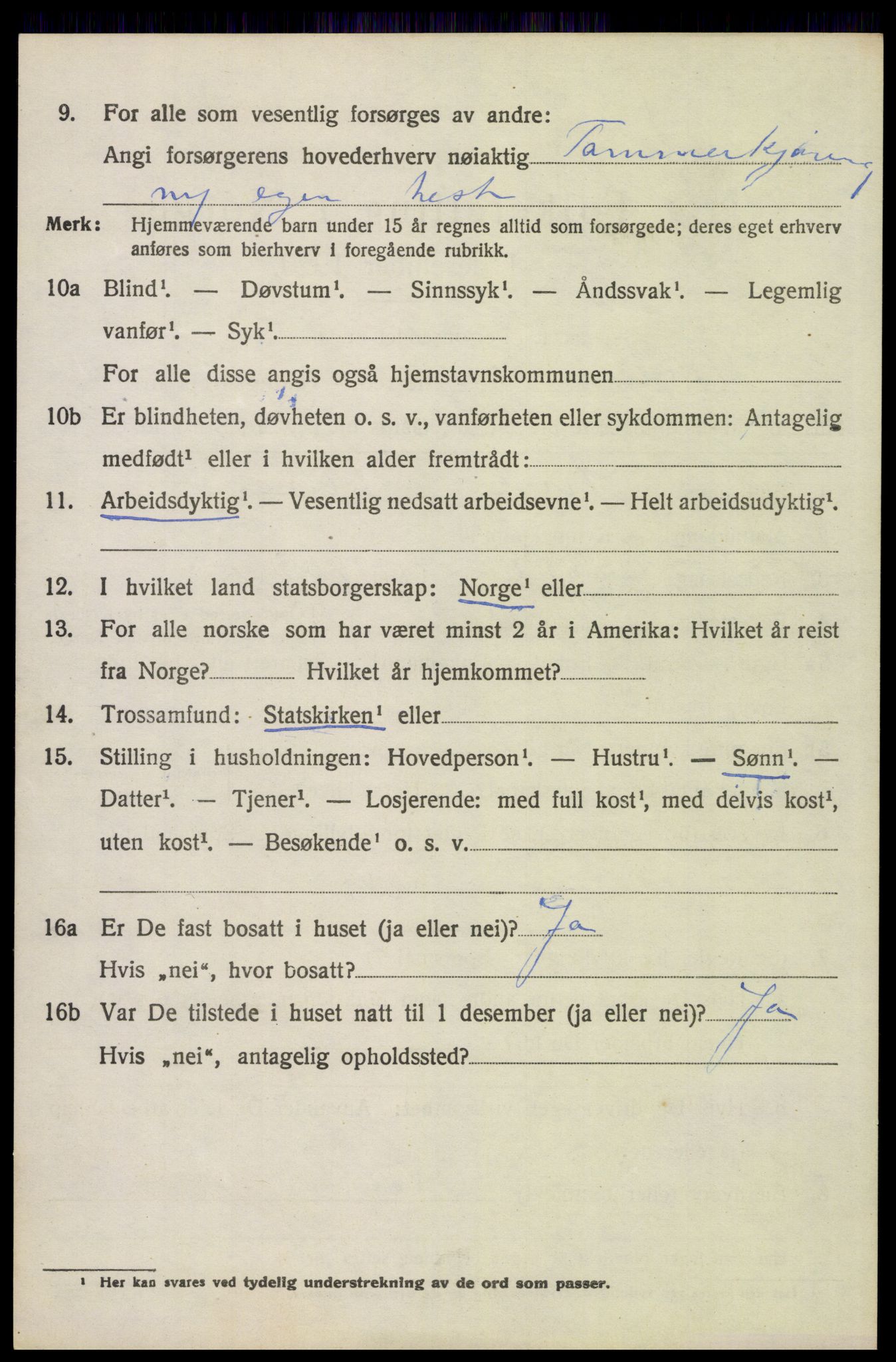 SAH, Folketelling 1920 for 0428 Trysil herred, 1920, s. 3114