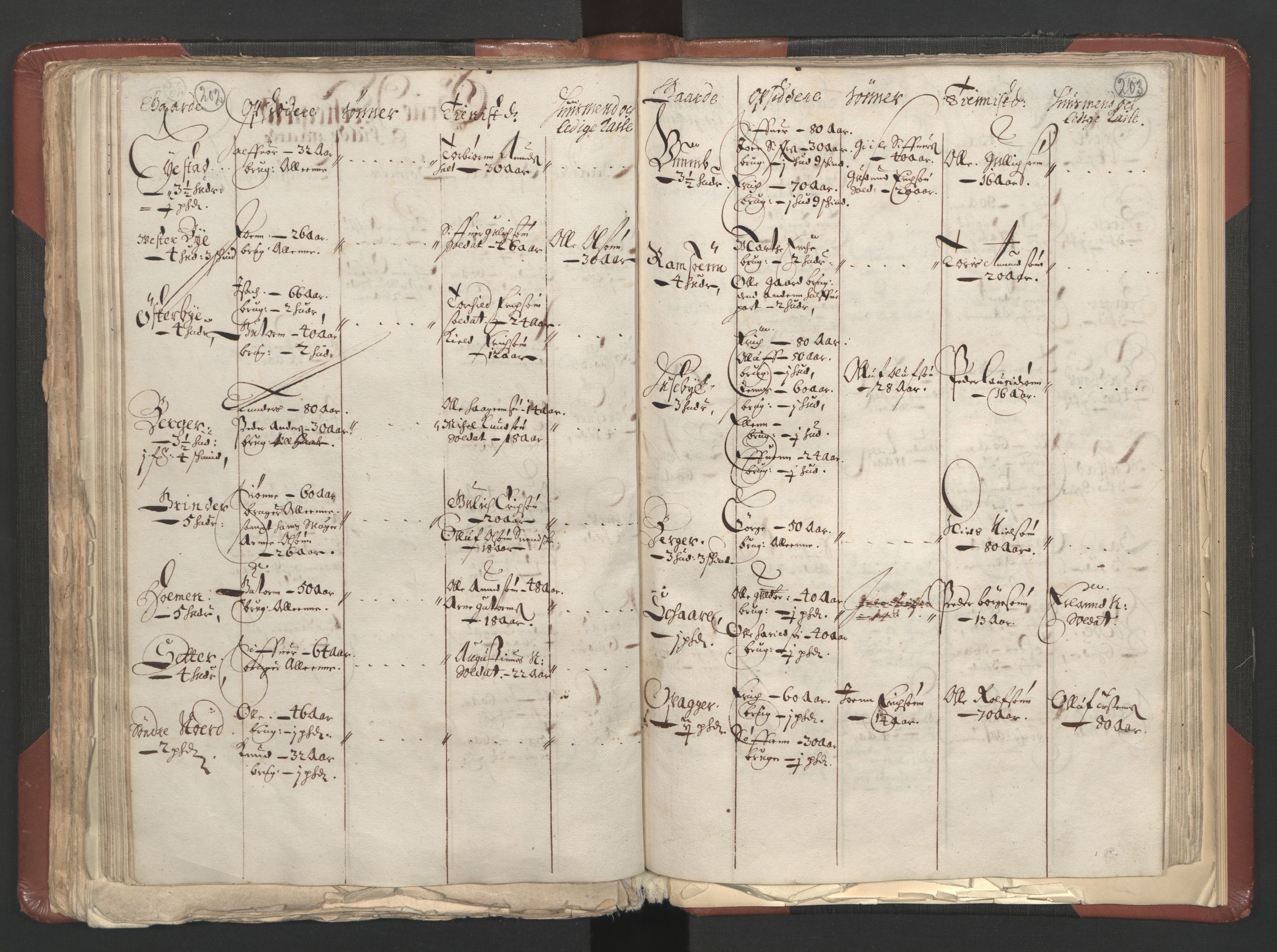 RA, Fogdenes og sorenskrivernes manntall 1664-1666, nr. 3: Hedmark fogderi og Solør, Østerdal og Odal fogderi, 1664, s. 202-203
