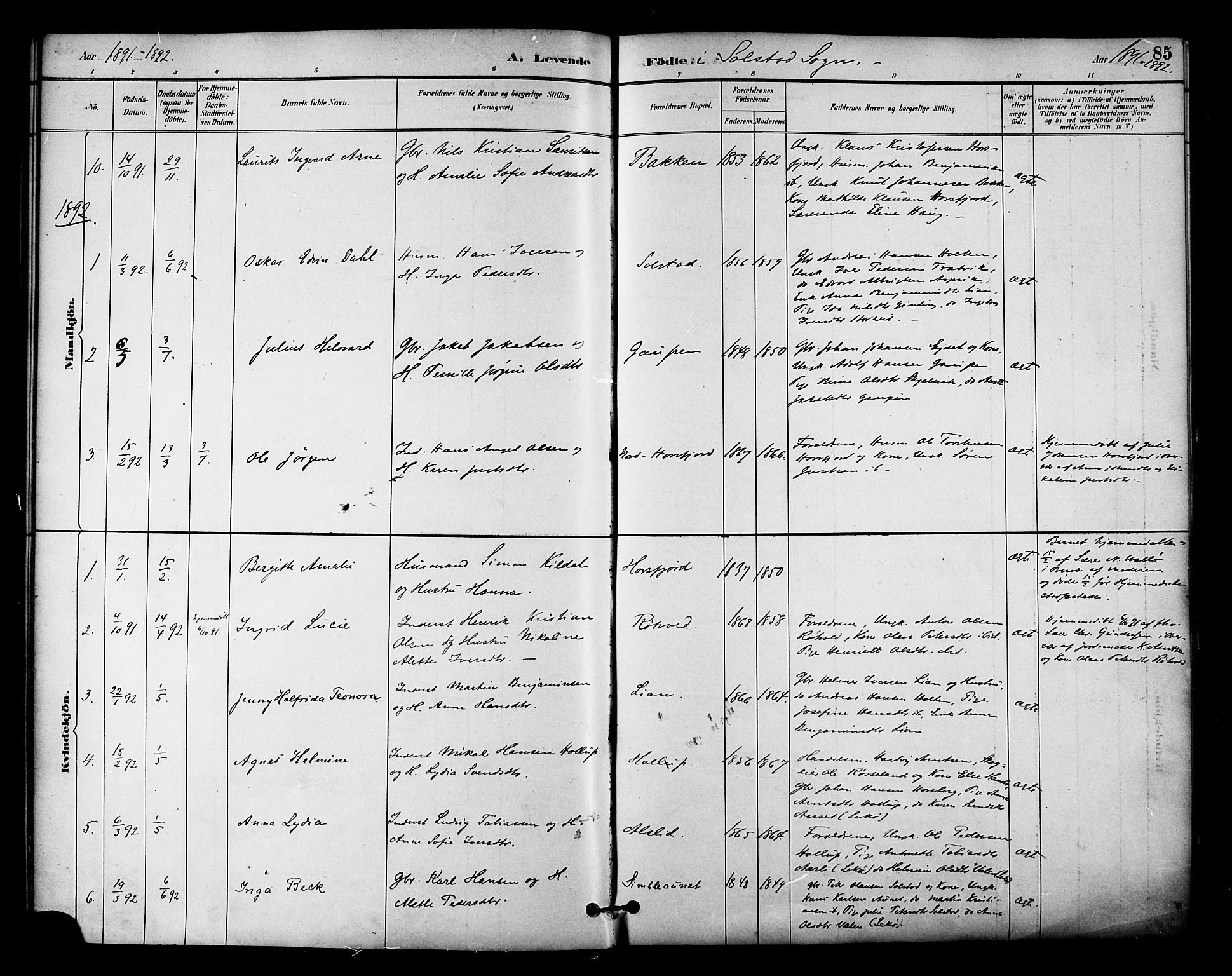 Ministerialprotokoller, klokkerbøker og fødselsregistre - Nordland, SAT/A-1459/810/L0151: Ministerialbok nr. 810A10 /2, 1885-1895, s. 85