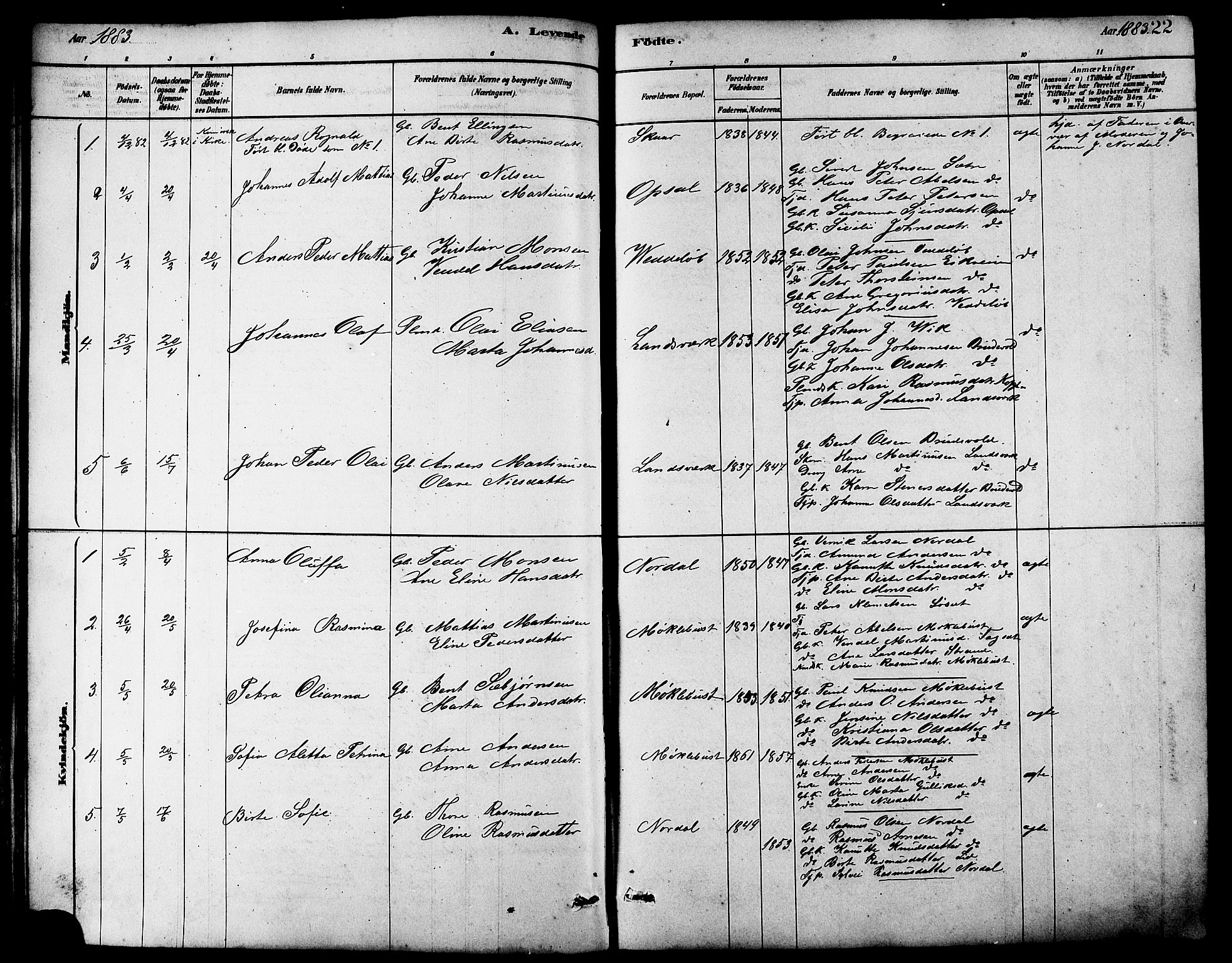 Ministerialprotokoller, klokkerbøker og fødselsregistre - Møre og Romsdal, AV/SAT-A-1454/502/L0027: Klokkerbok nr. 502C01, 1878-1908, s. 22