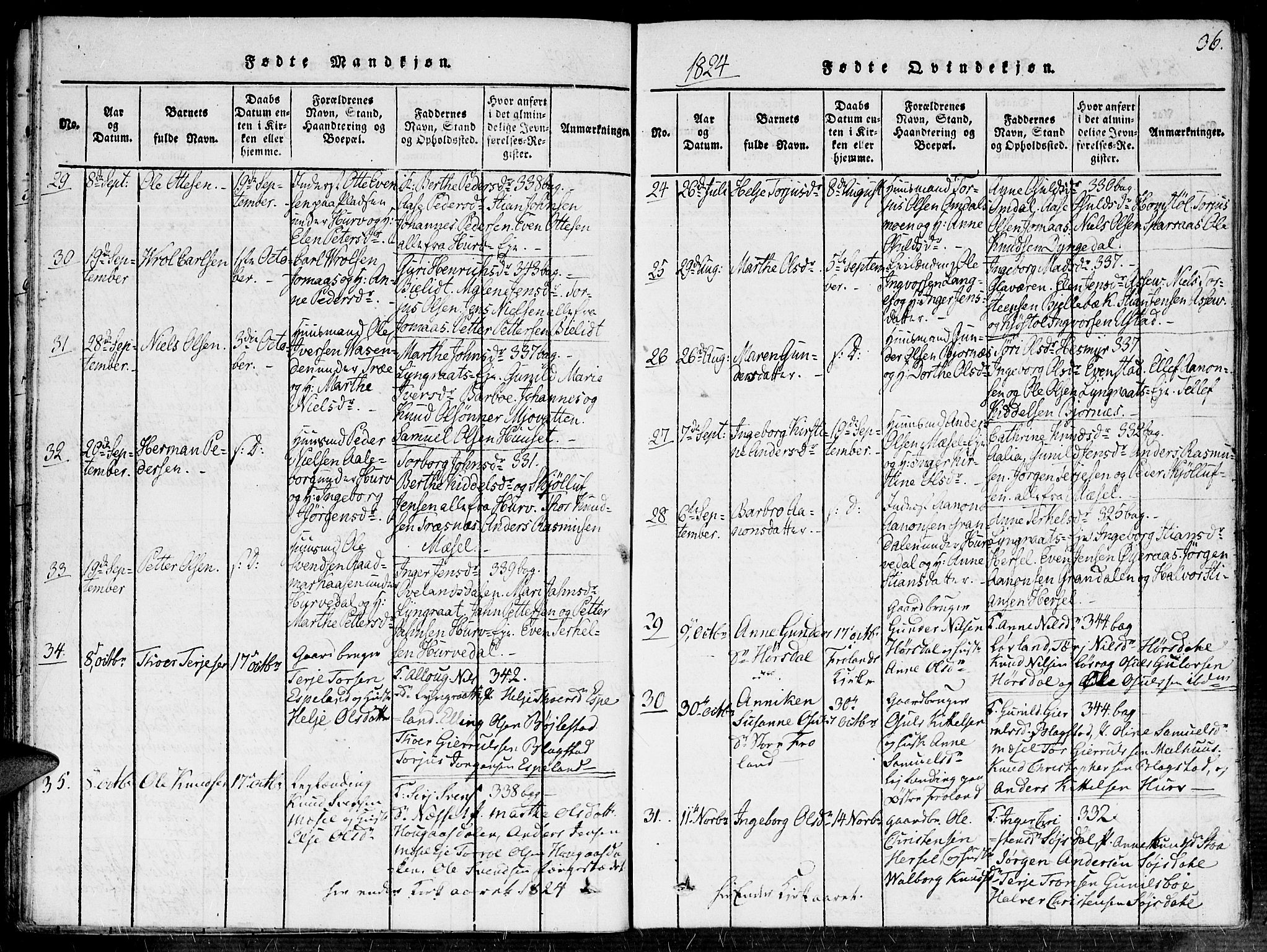 Fjære sokneprestkontor, AV/SAK-1111-0011/F/Fa/L0001: Ministerialbok nr. A 1 /2, 1816-1826, s. 36
