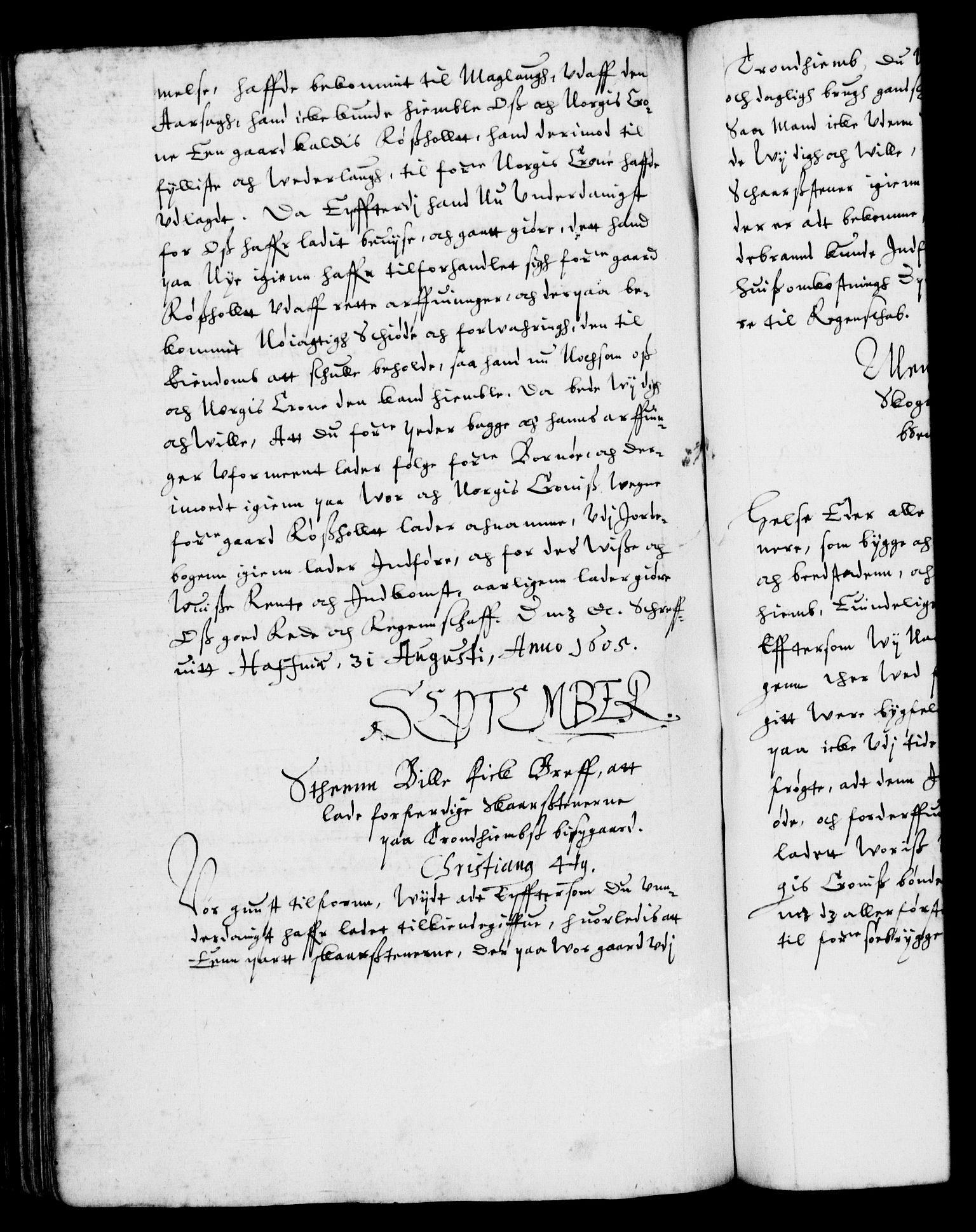 Danske Kanselli 1572-1799, AV/RA-EA-3023/F/Fc/Fca/Fcab/L0003: Norske tegnelser (mikrofilm), 1596-1616, s. 229b